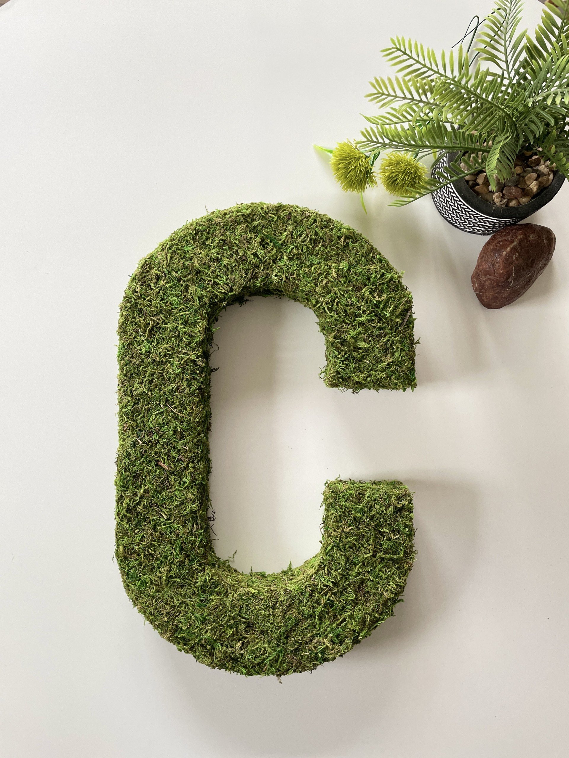 Moss LEtter C.jpeg