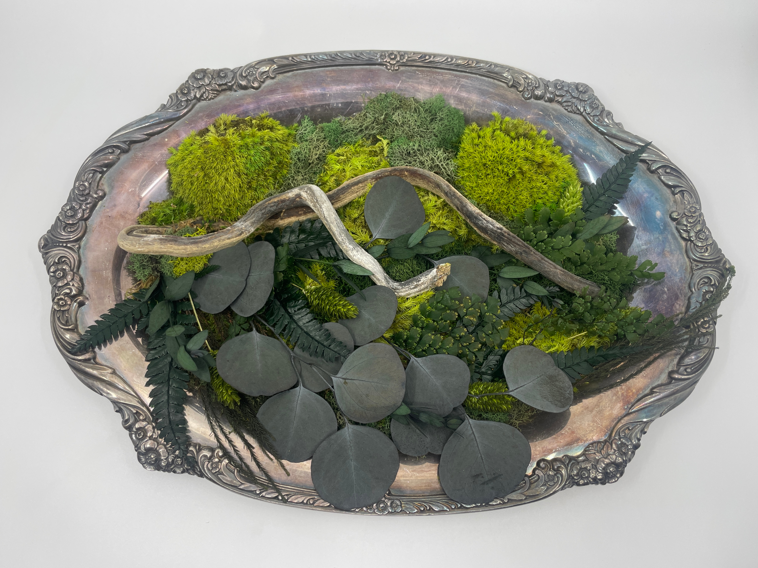 Oval Shaped Silver Platter with Preserved Plants