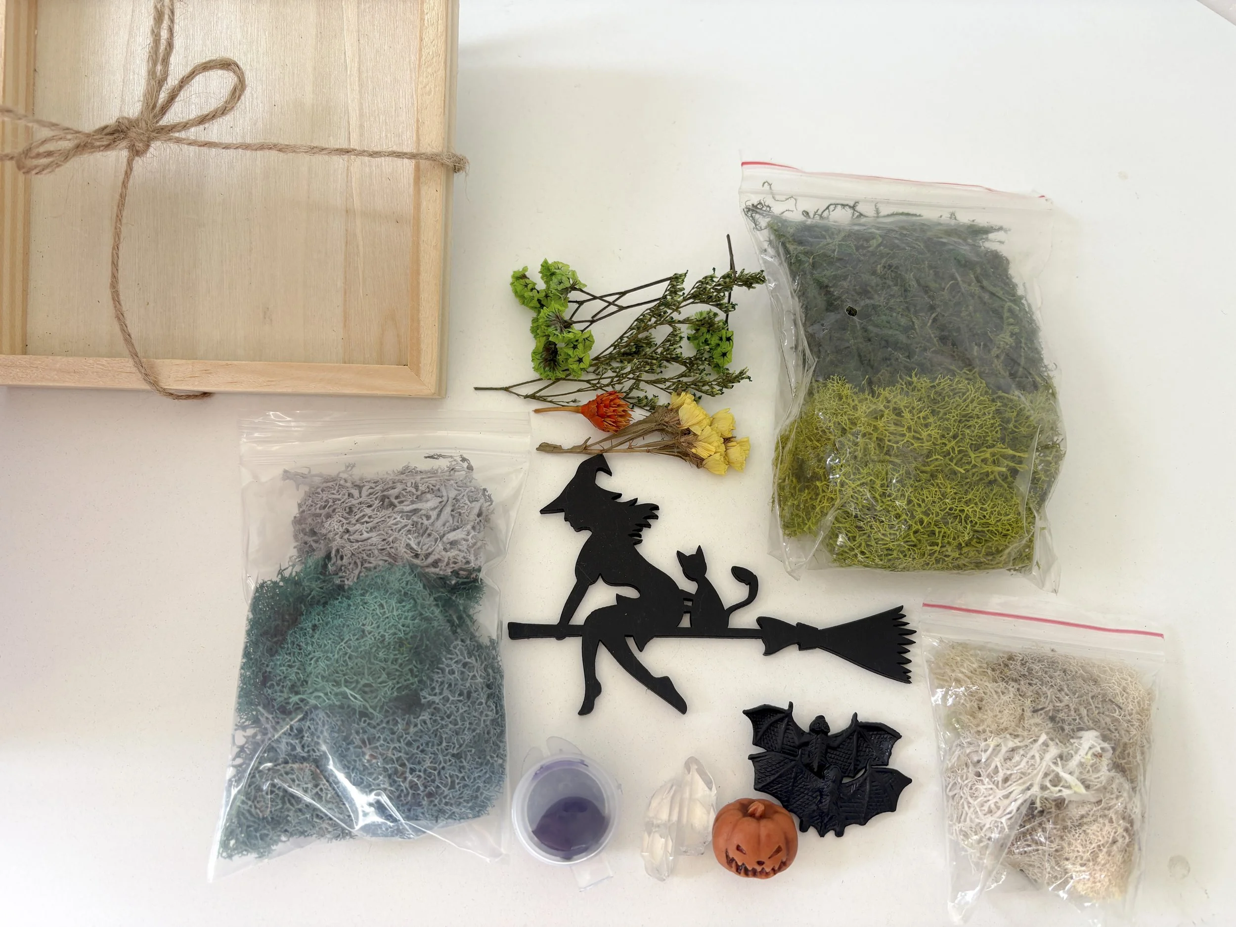WitchDIY1.jpg