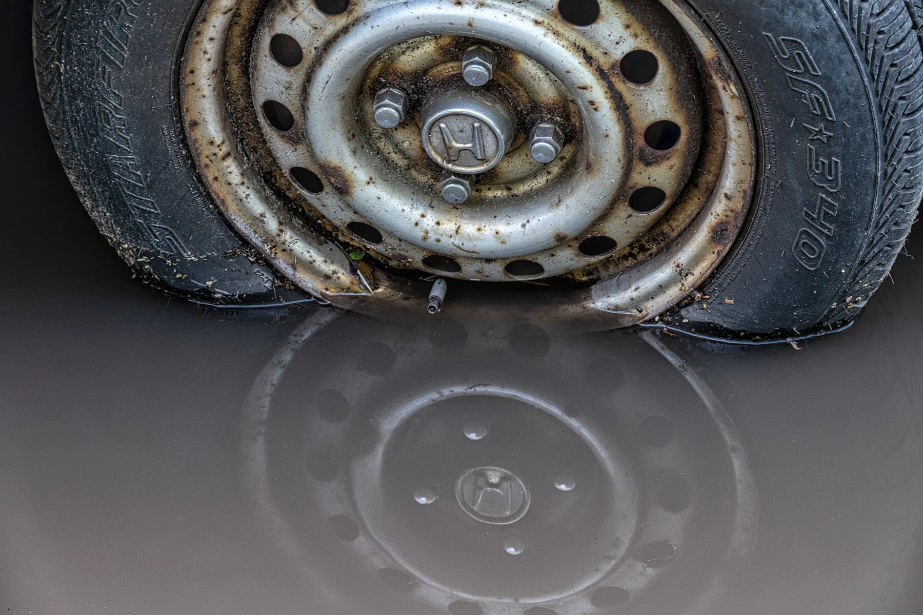 Flooded
