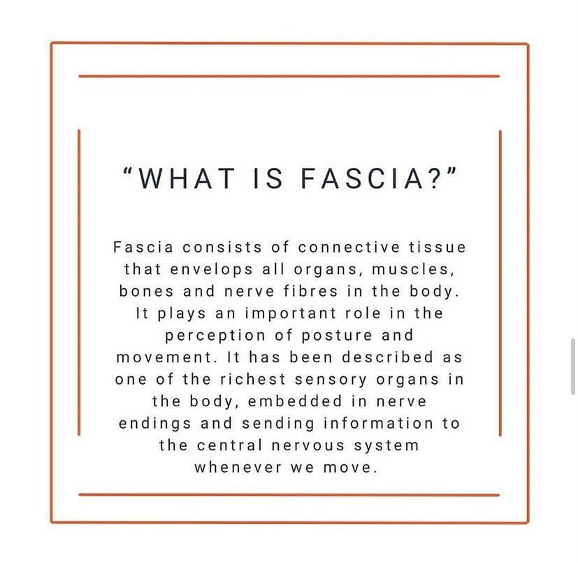 When your fascia is healthy, it&rsquo;s flexible, supple and glides. When it&rsquo;s stiff, it&rsquo;s sticky, clumpy and tight which can lead to knots, restrictions and movement limitations. This can lead to pain and reduced range of motion. 

Fasci
