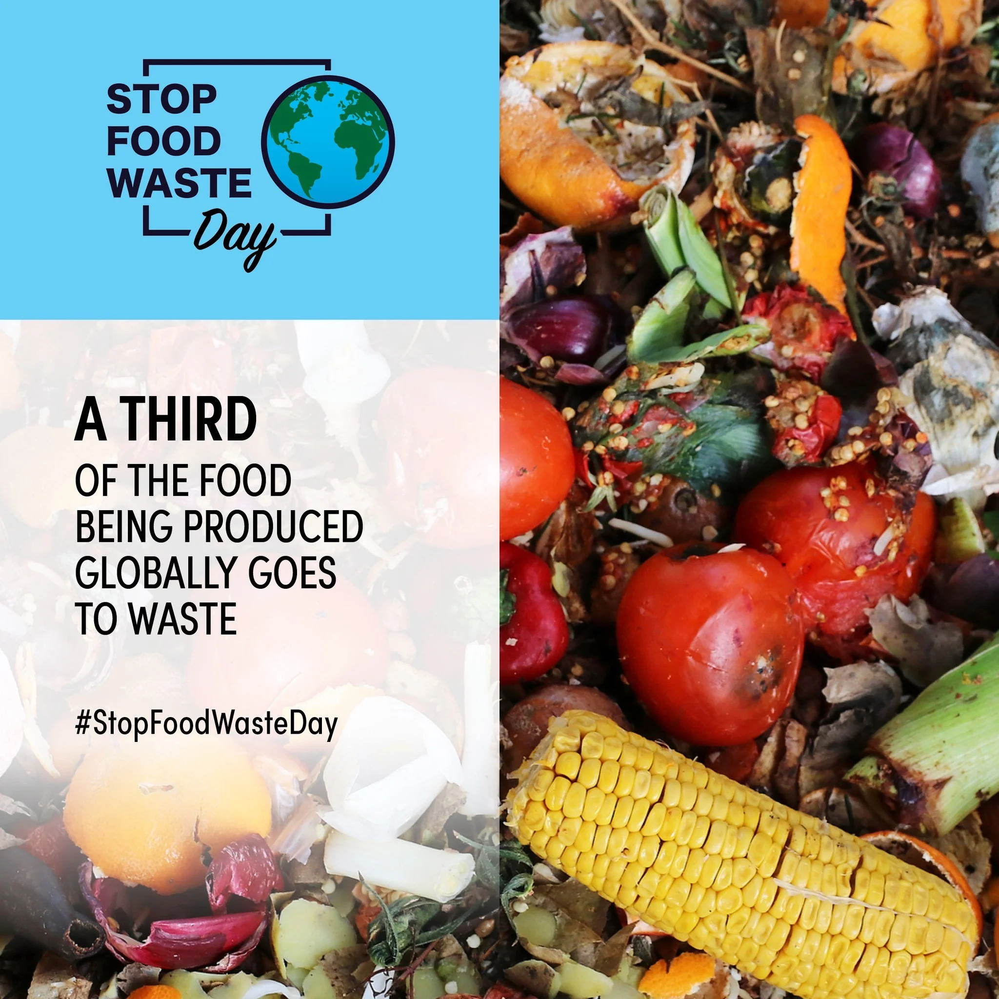 We&rsquo;re proud to support Stop Food Waste Day!

At Green Eco Technologies, we believe that tackling food waste isn&rsquo;t just an environmental issue. It&rsquo;s an important opportunity to create smarter, more sustainable systems across the enti