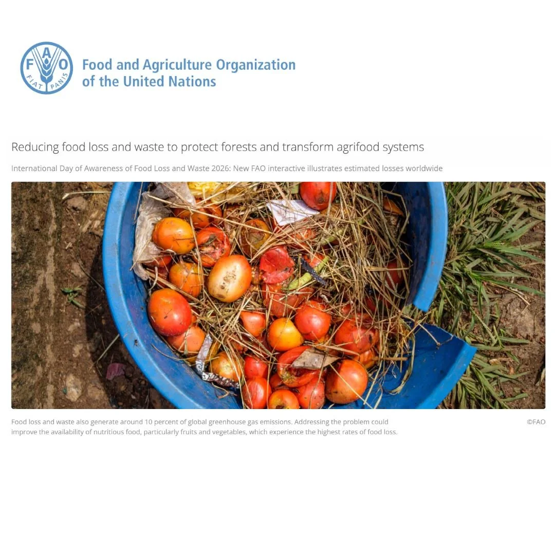 The recent publication from the Food and Agriculture Organisation of the United Nations (FAO) highlights the significant connection between food loss and waste, climate change and deforestation. Around 10% of global greenhouse gas emissions are assoc