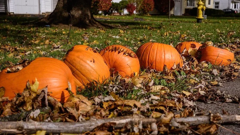 Tackling food waste starts with awareness and practical action. With pumpkins, party food and sweet treats part of the Halloween celebrations, it&rsquo;s a timely reminder to think about what we throw away.

So, what can we do differently? At home, m