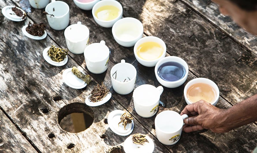 Pickers-Pocket-Tasting-Tea.jpg