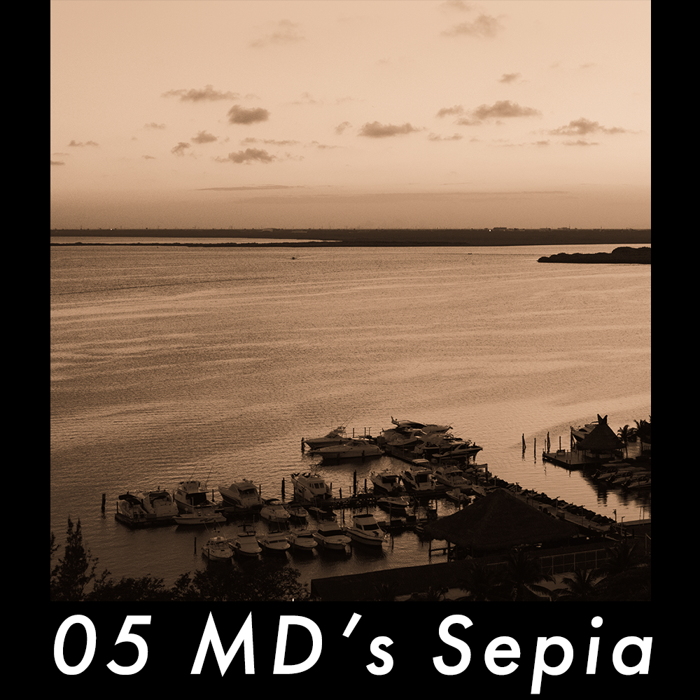 05 Sepia Storefront Image.png
