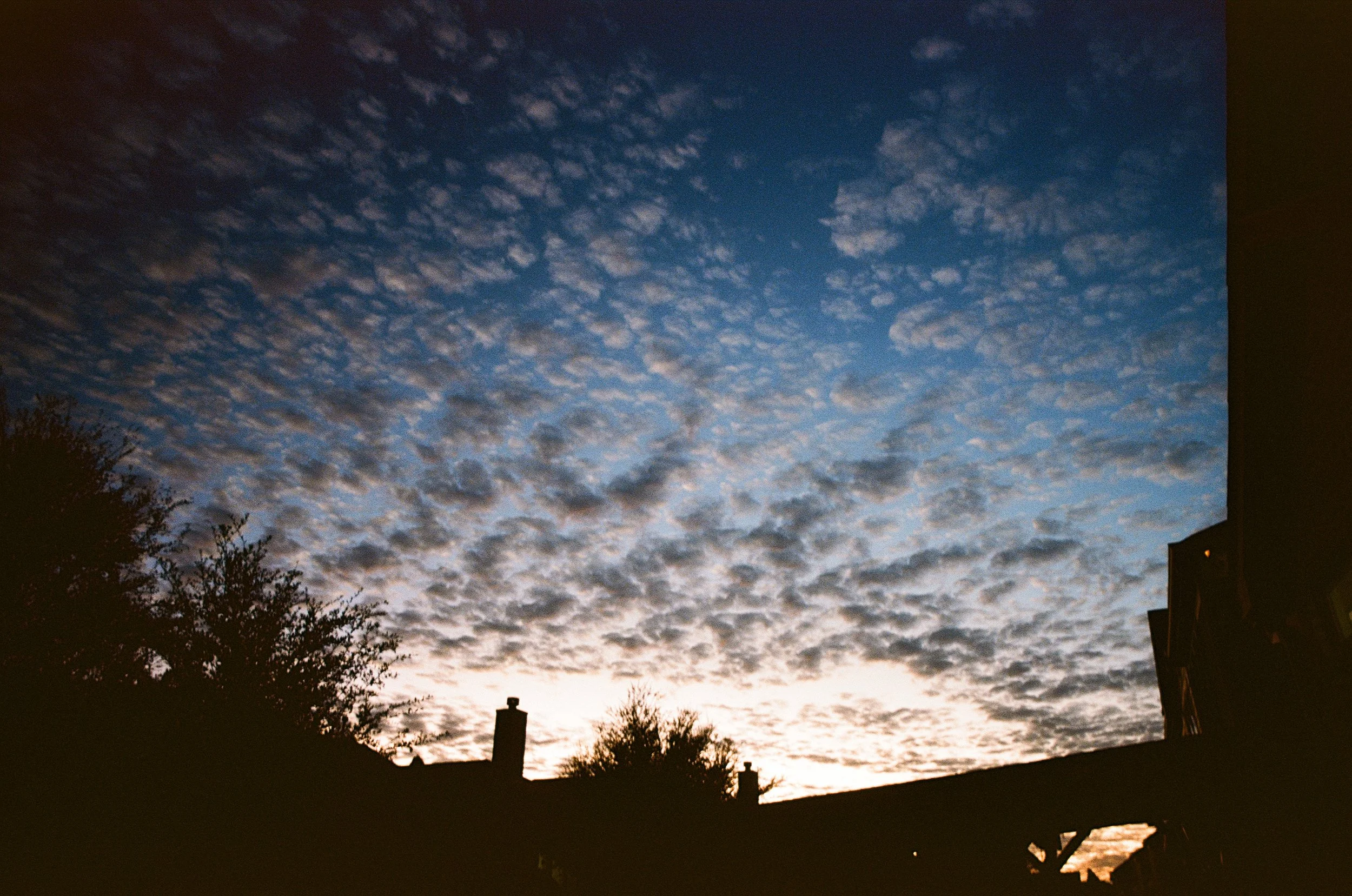 Roll37_Ektar-32.jpg