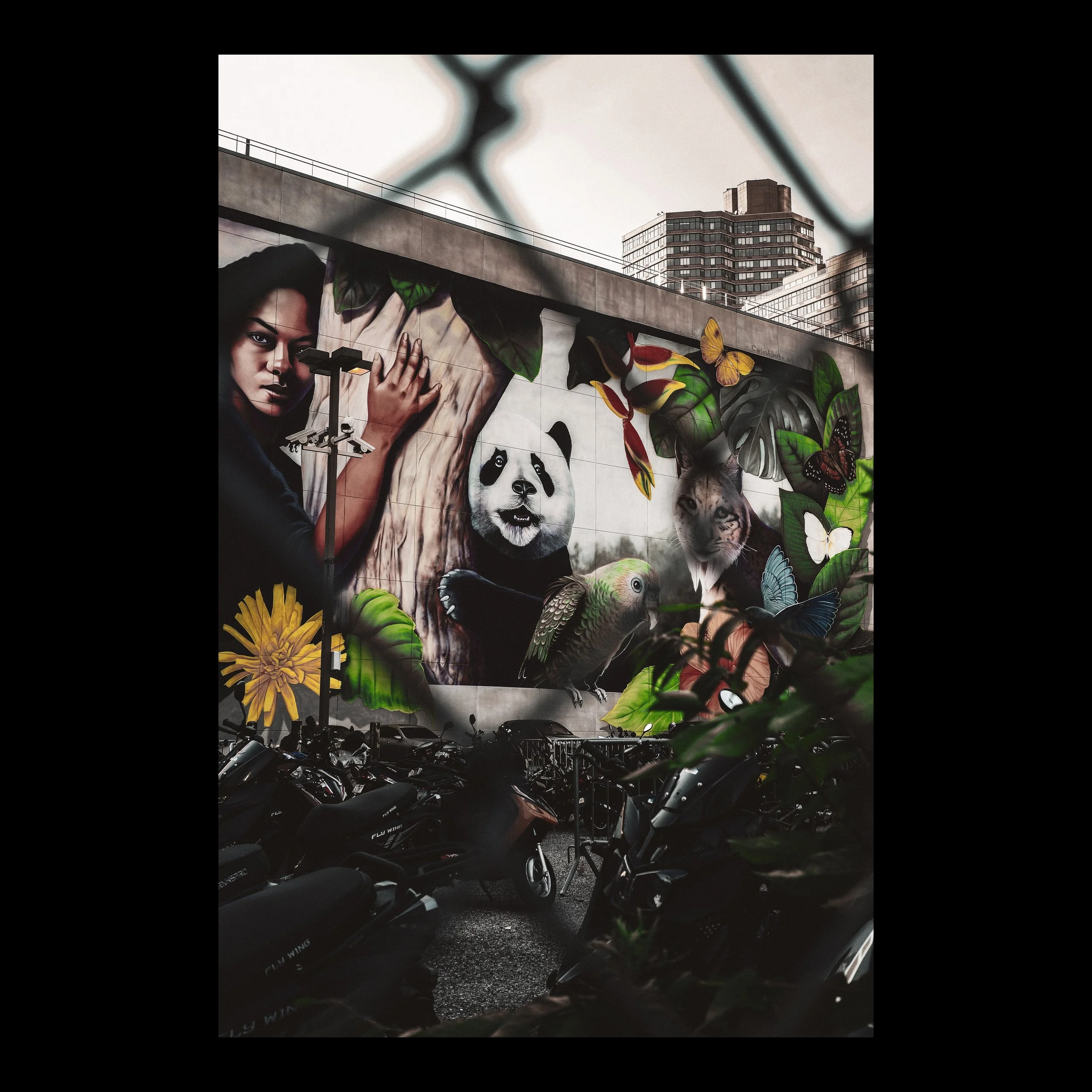 GR001630-2 insta.jpg