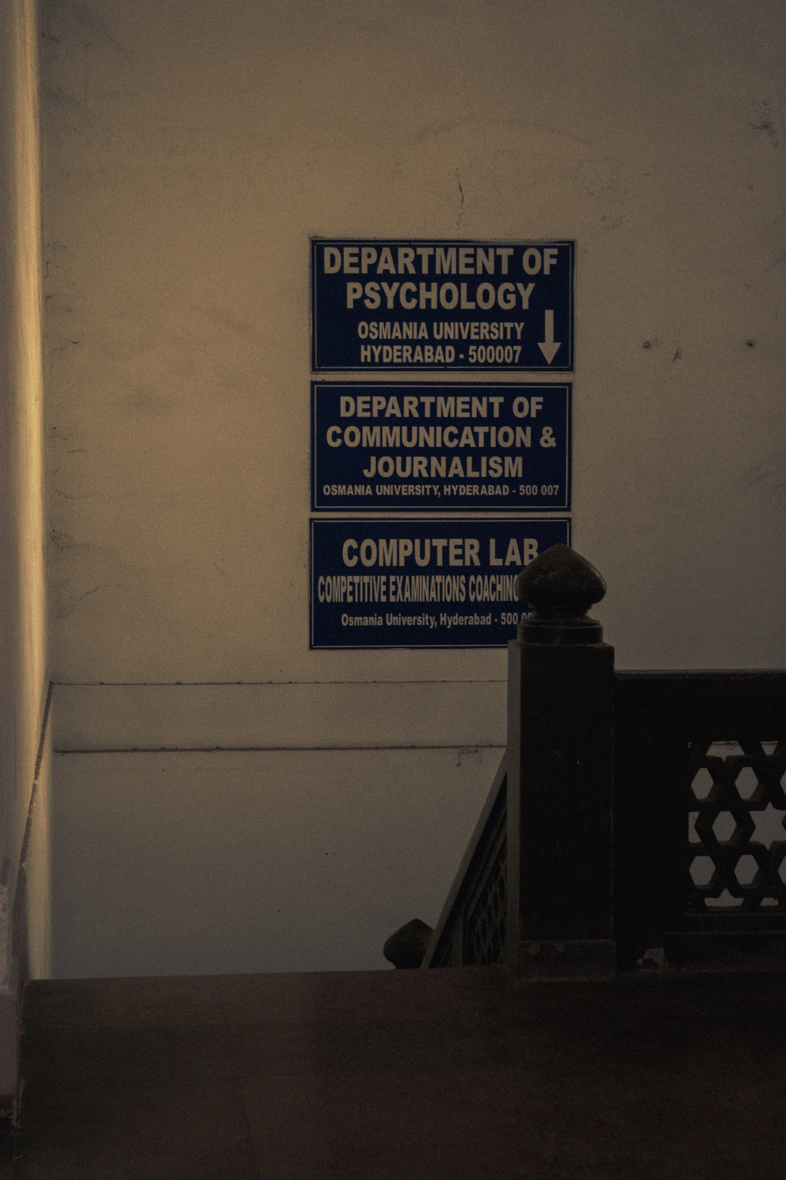 _DSC0219.jpeg