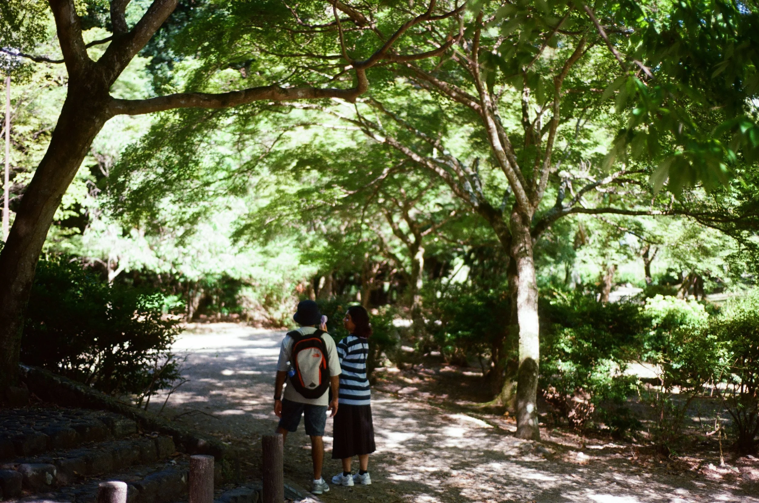 Roll35_Ektar-05.jpg
