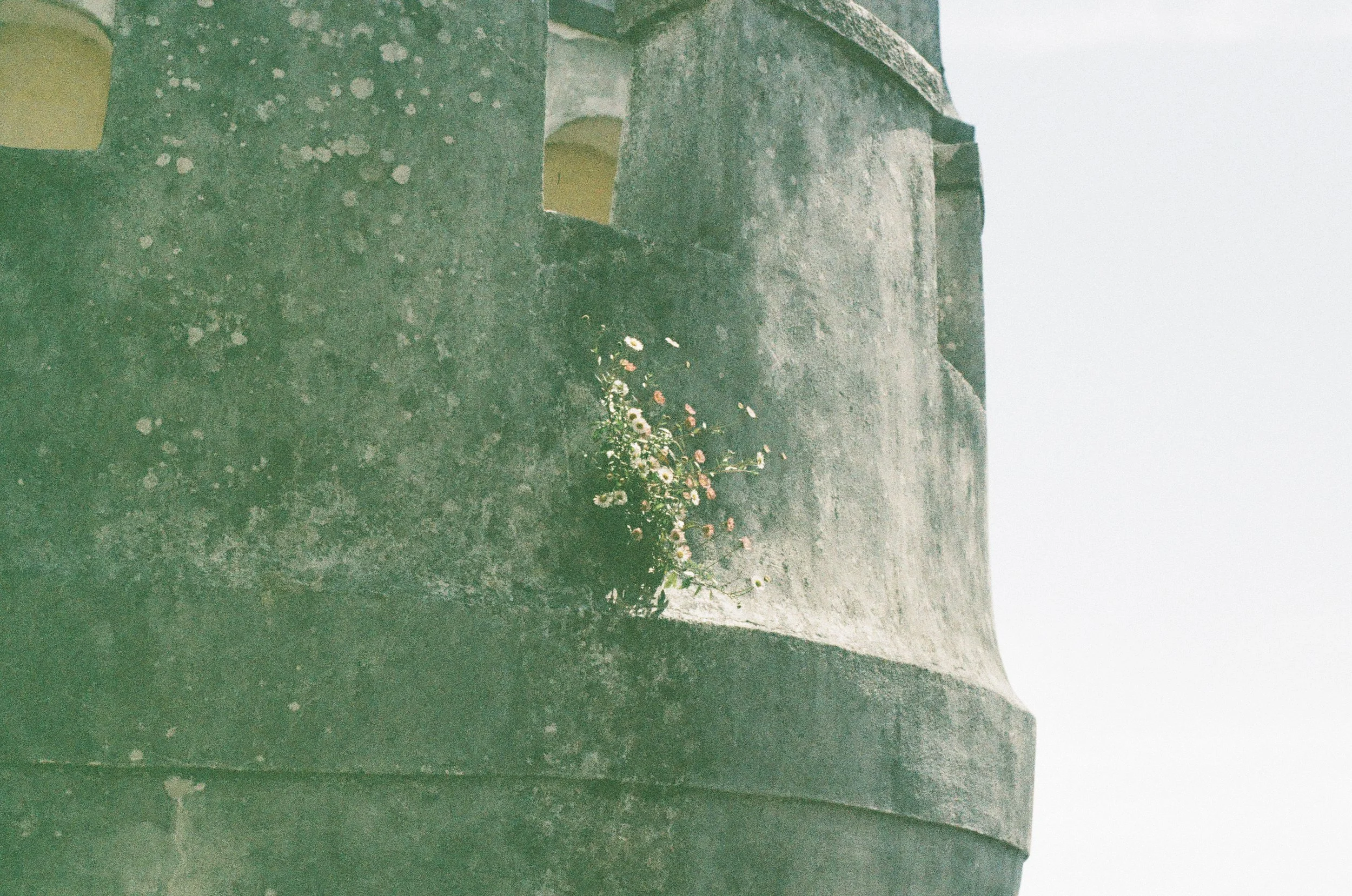 Roll33_Lisboa-27.jpg