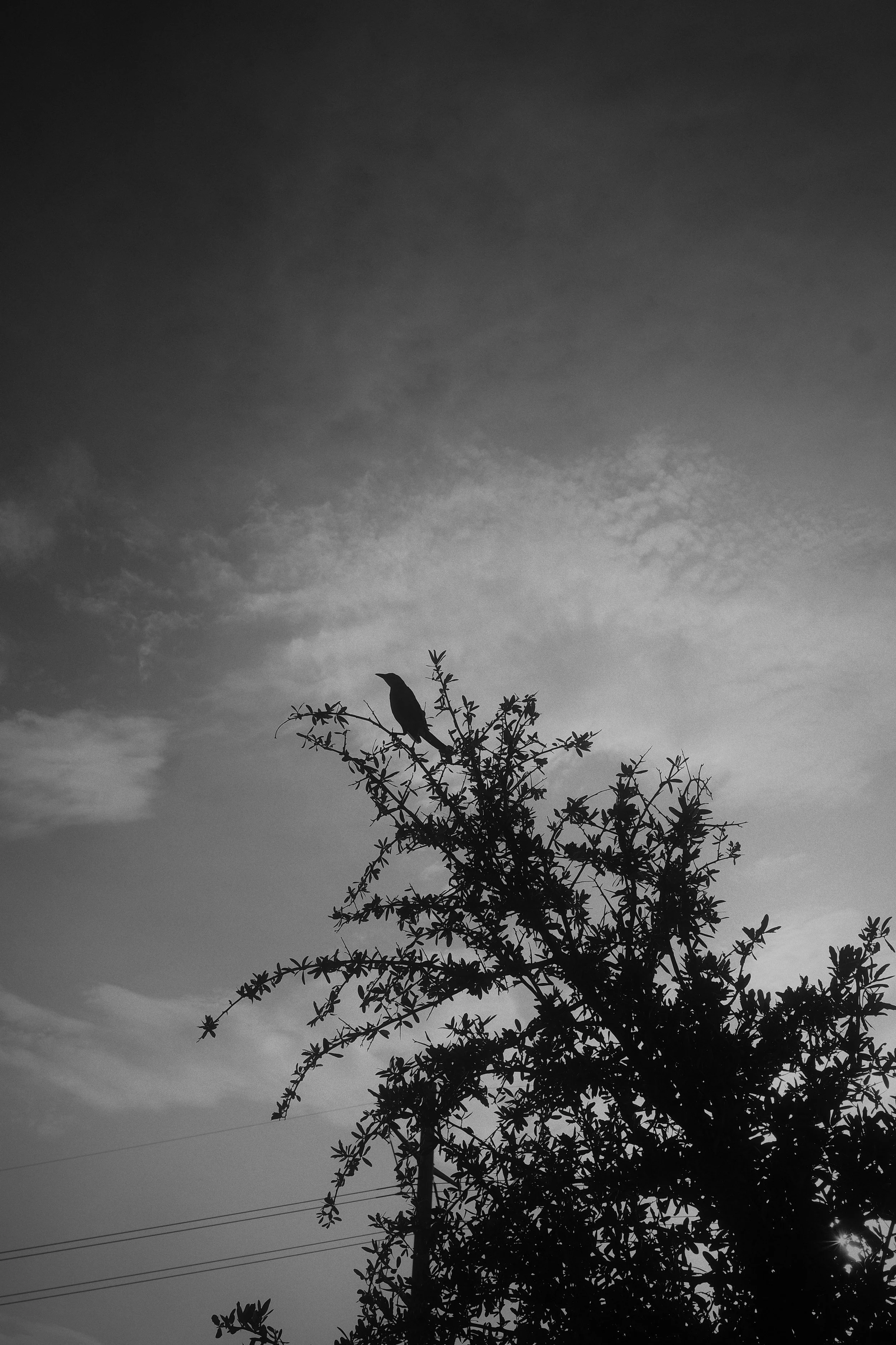 GR005140.jpg