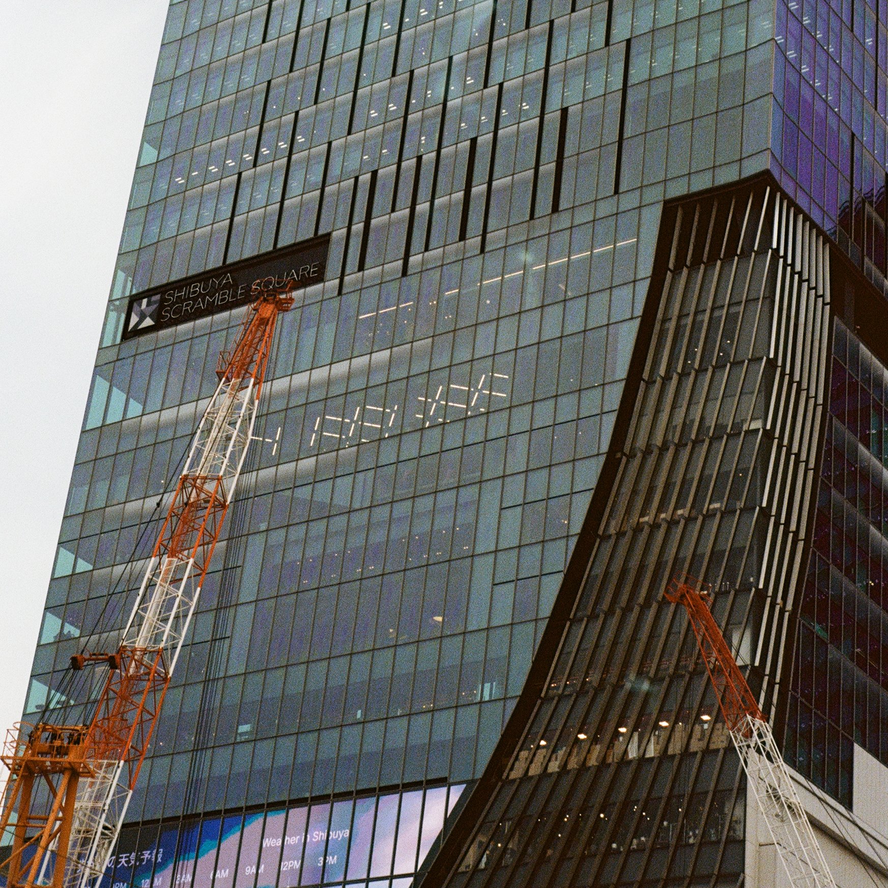 Roll37_Ektar-21.jpg