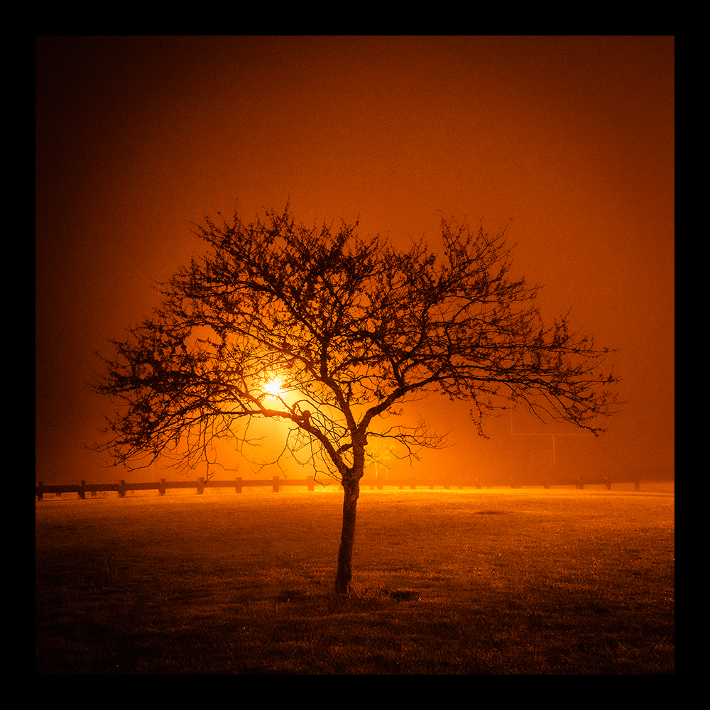 GR000958-2 insta.png