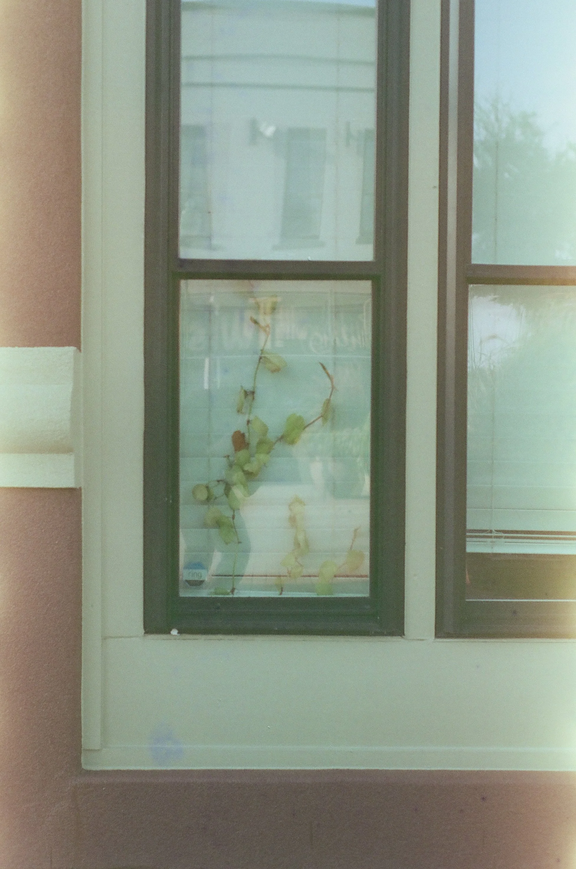 Roll31_SORA200-05.jpg