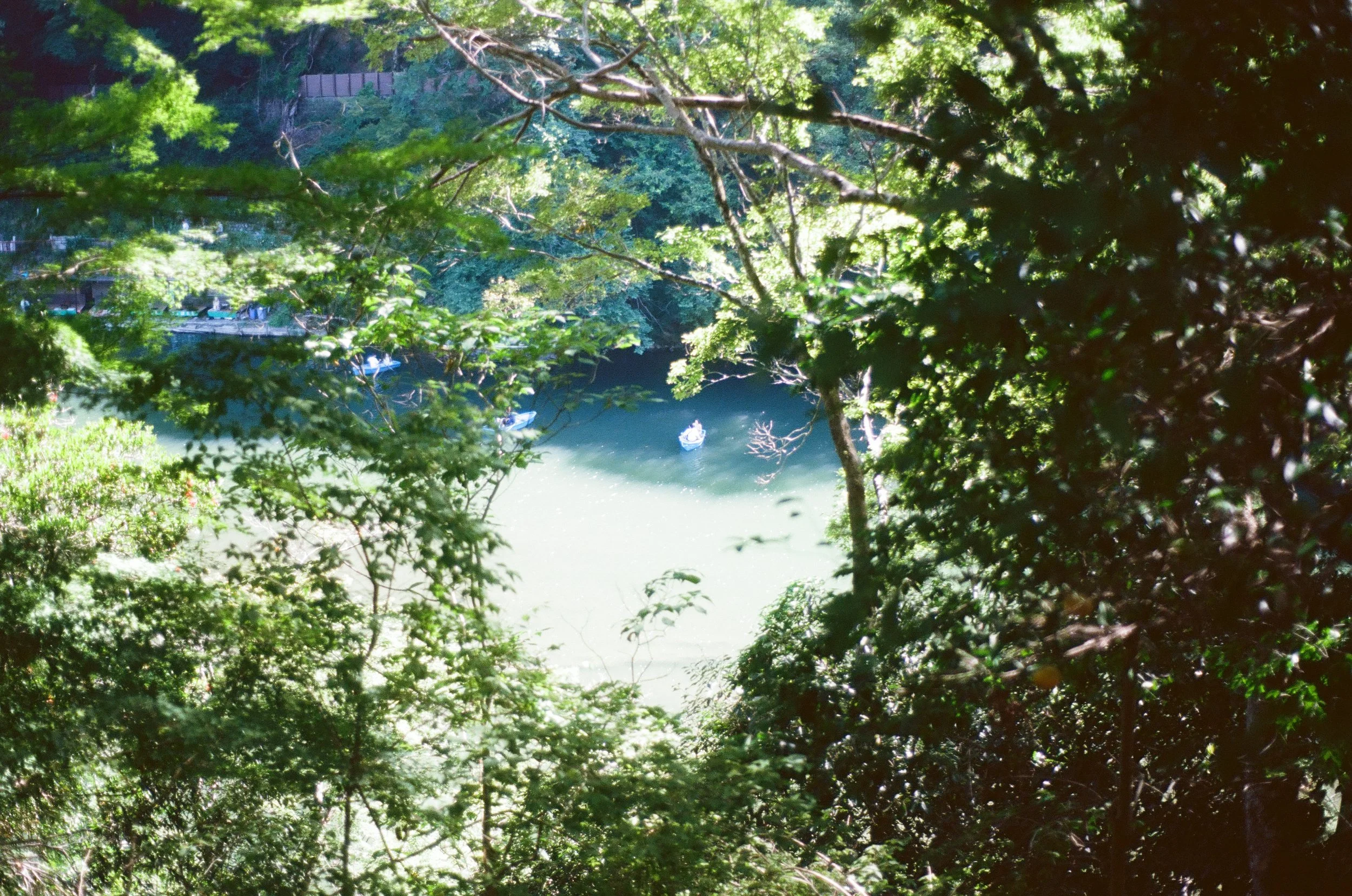 Roll35_Ektar-07.jpg