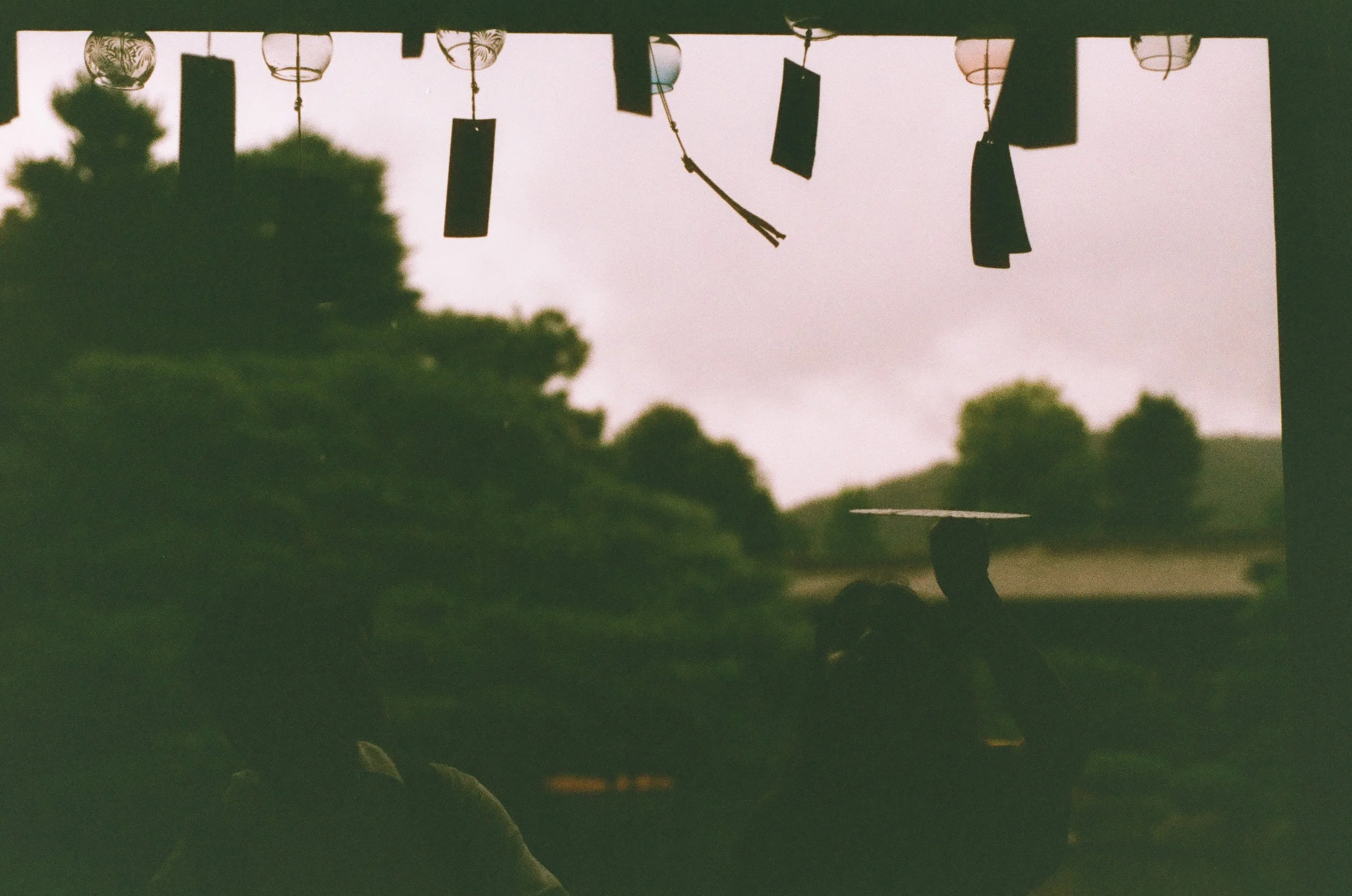 Roll36_Phoenix-15.jpg
