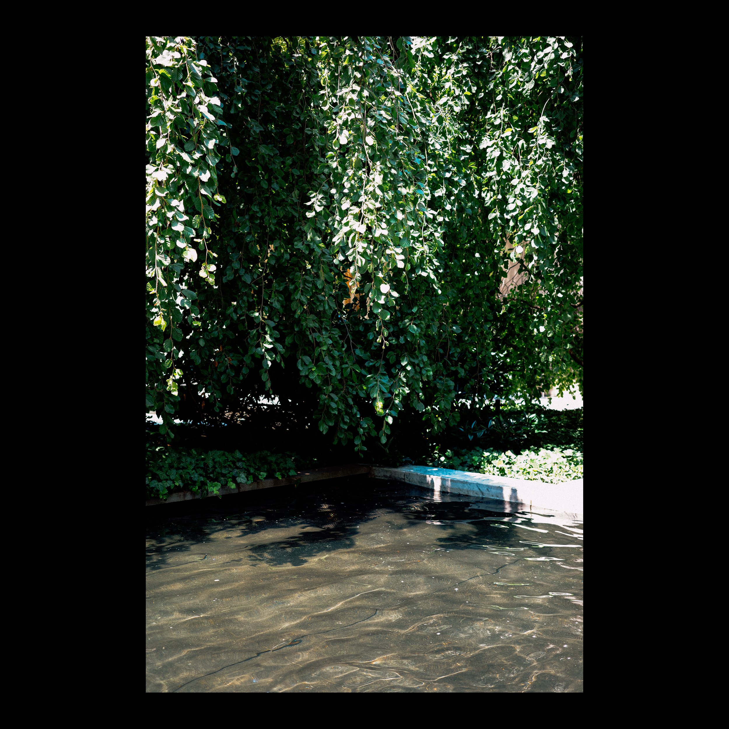 GR001650-2 insta.jpg