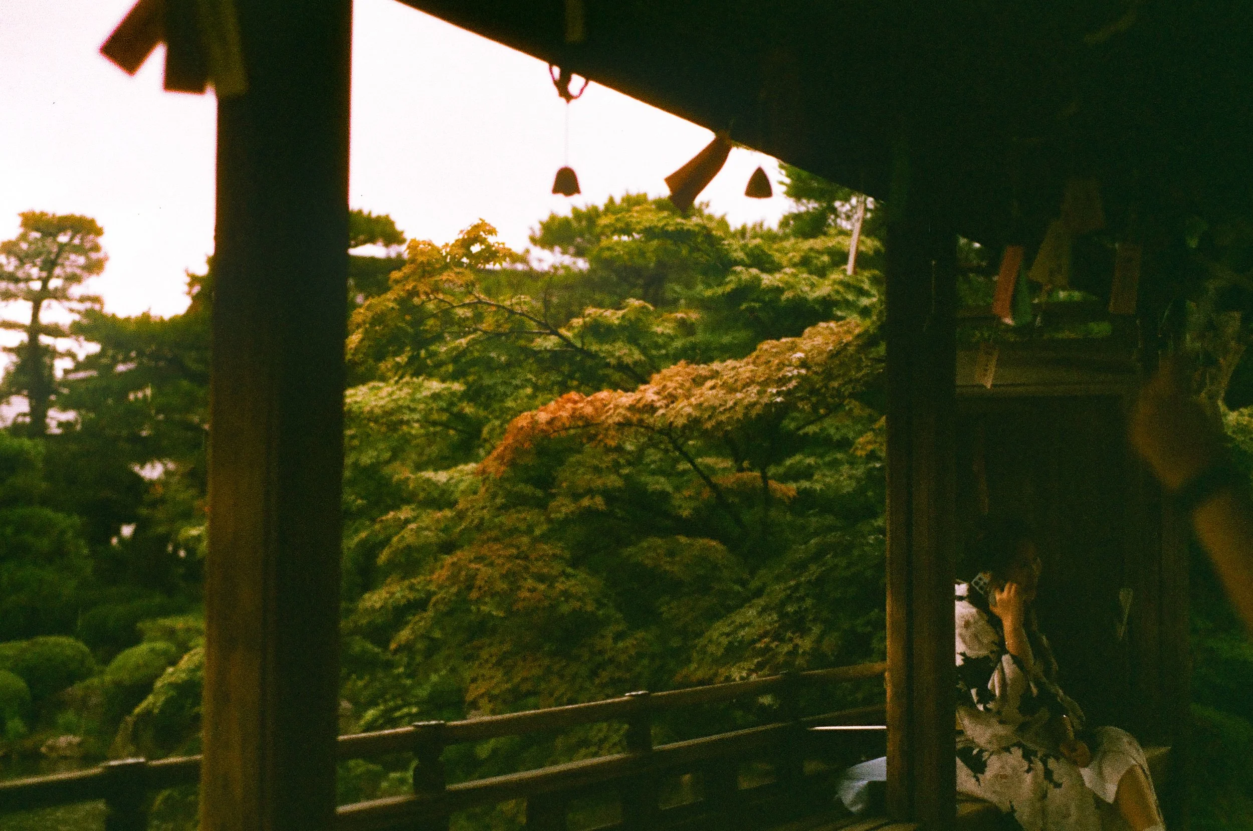 Roll36_Phoenix-13.jpg