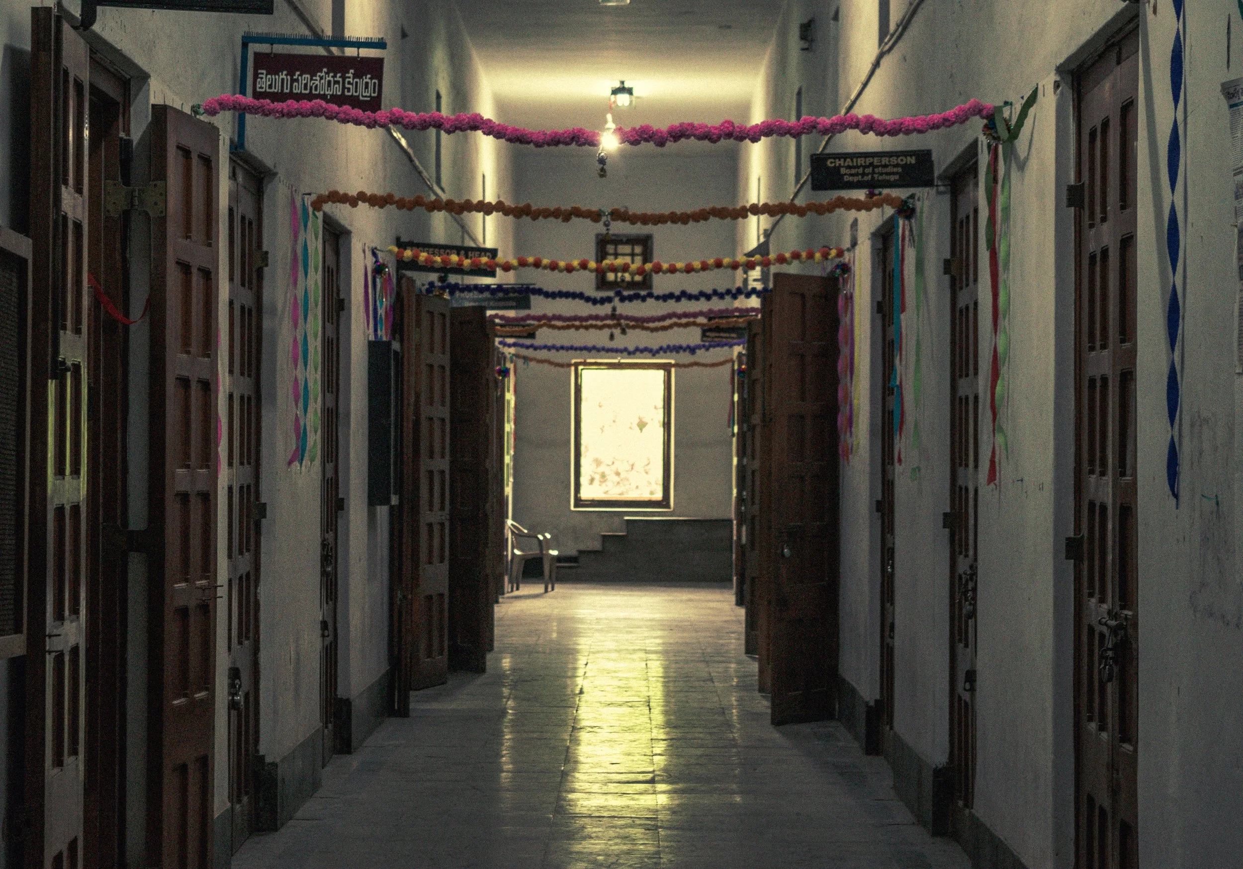 _DSC0231.jpeg