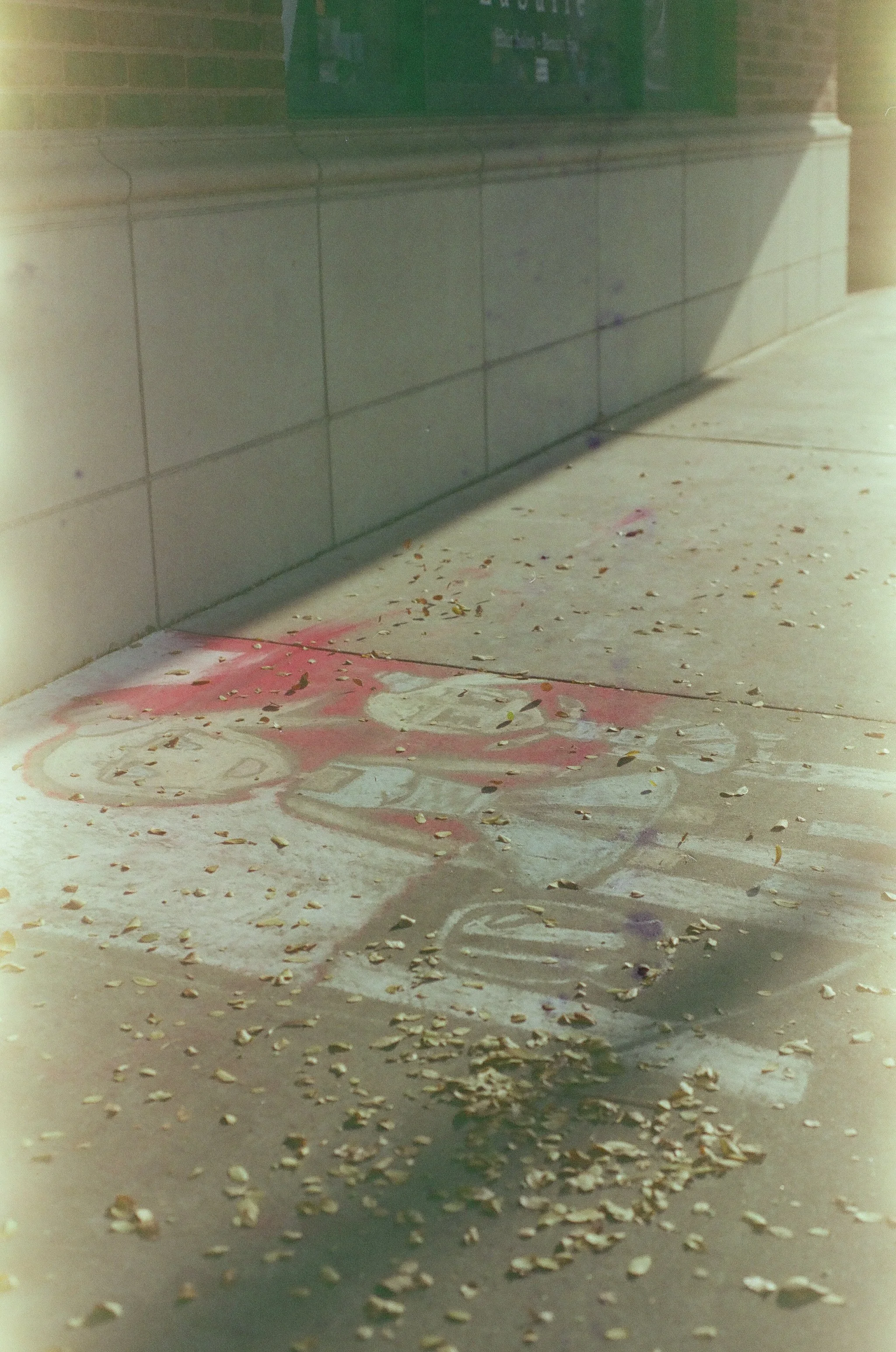 Roll31_SORA200-07.jpg