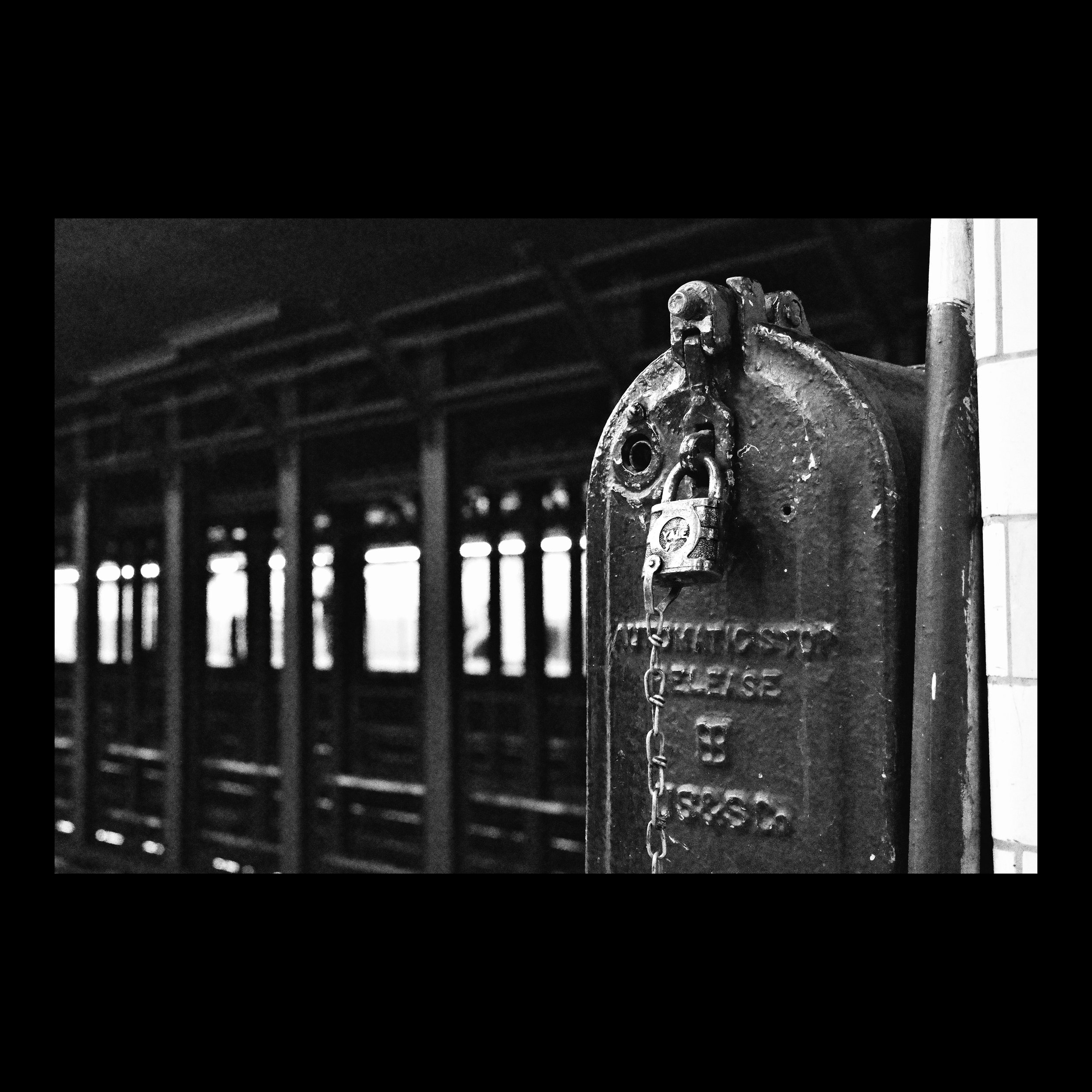 GR001638-2 insta.jpg