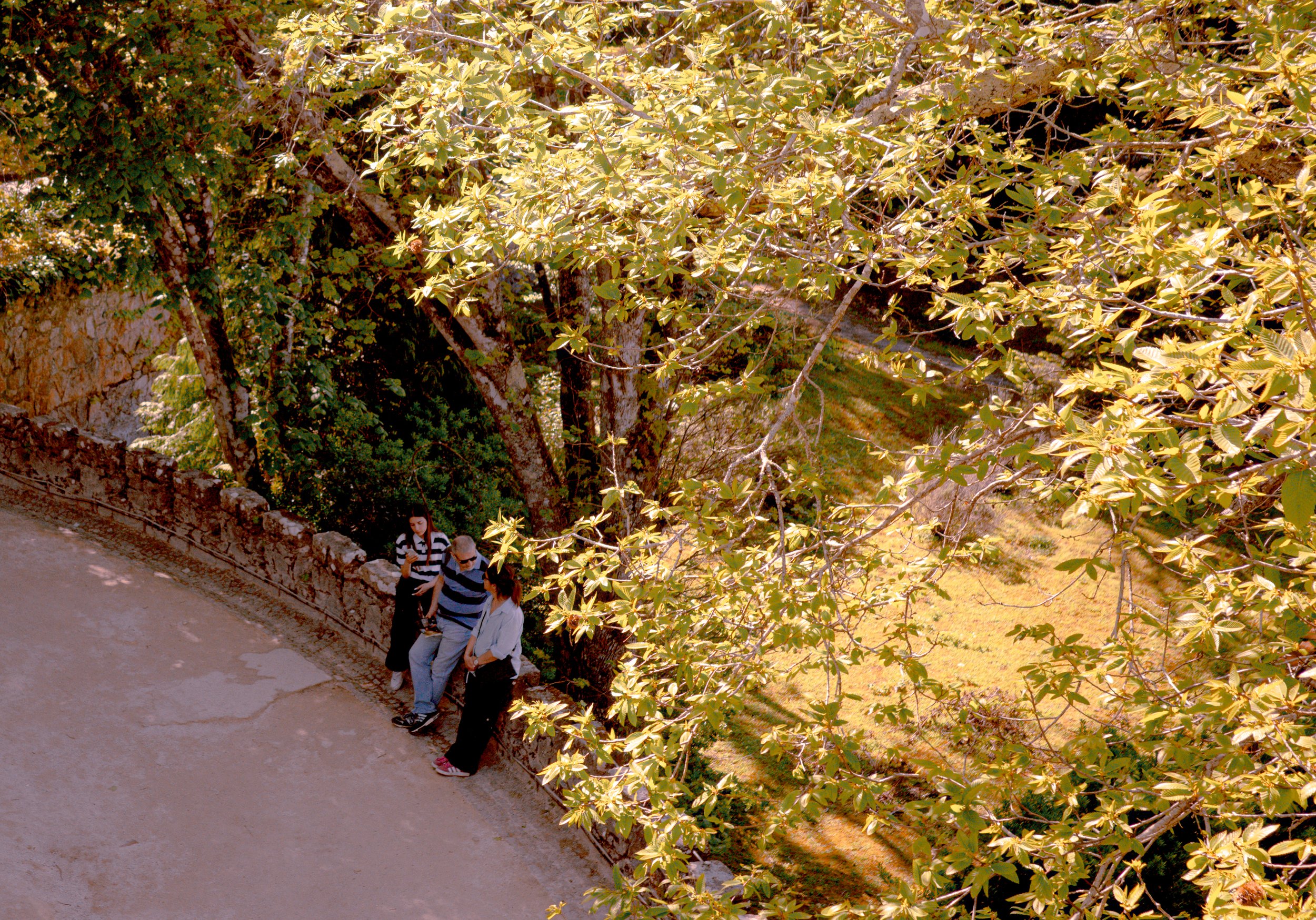 GR004785.jpg