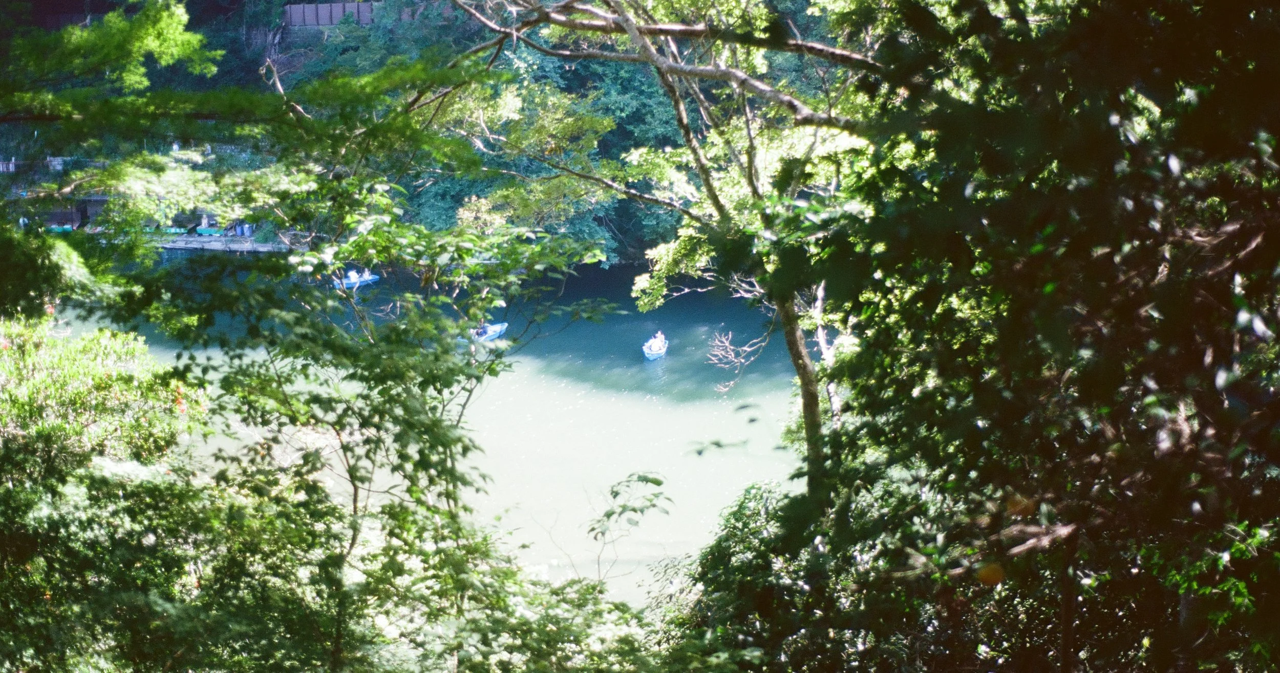 Roll35_Ektar-07-2.jpg