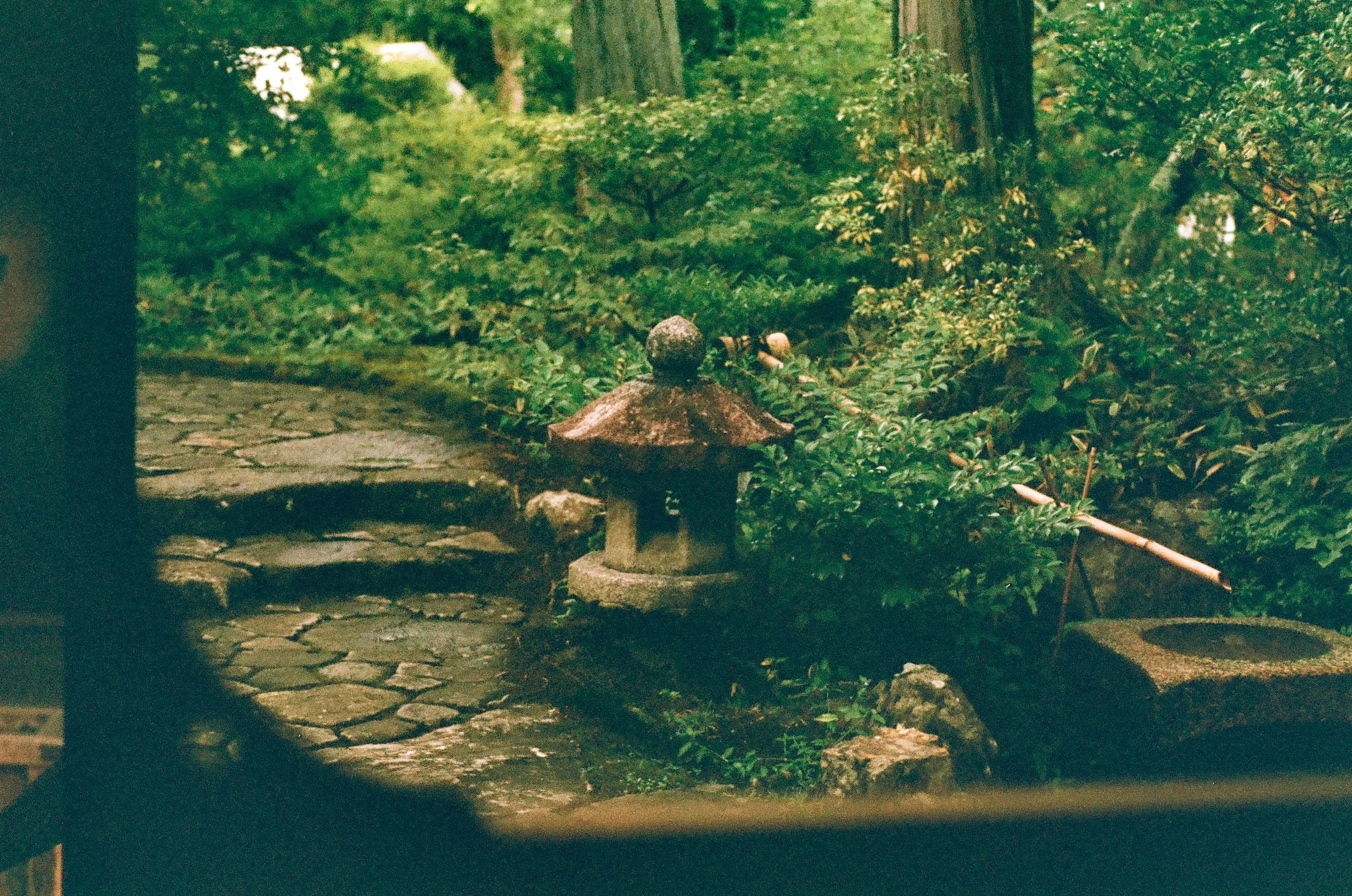 Roll36_Phoenix-01.jpg