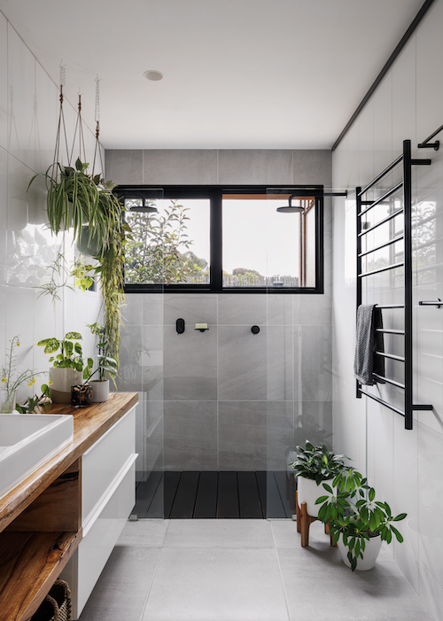 Seed House in Houzz