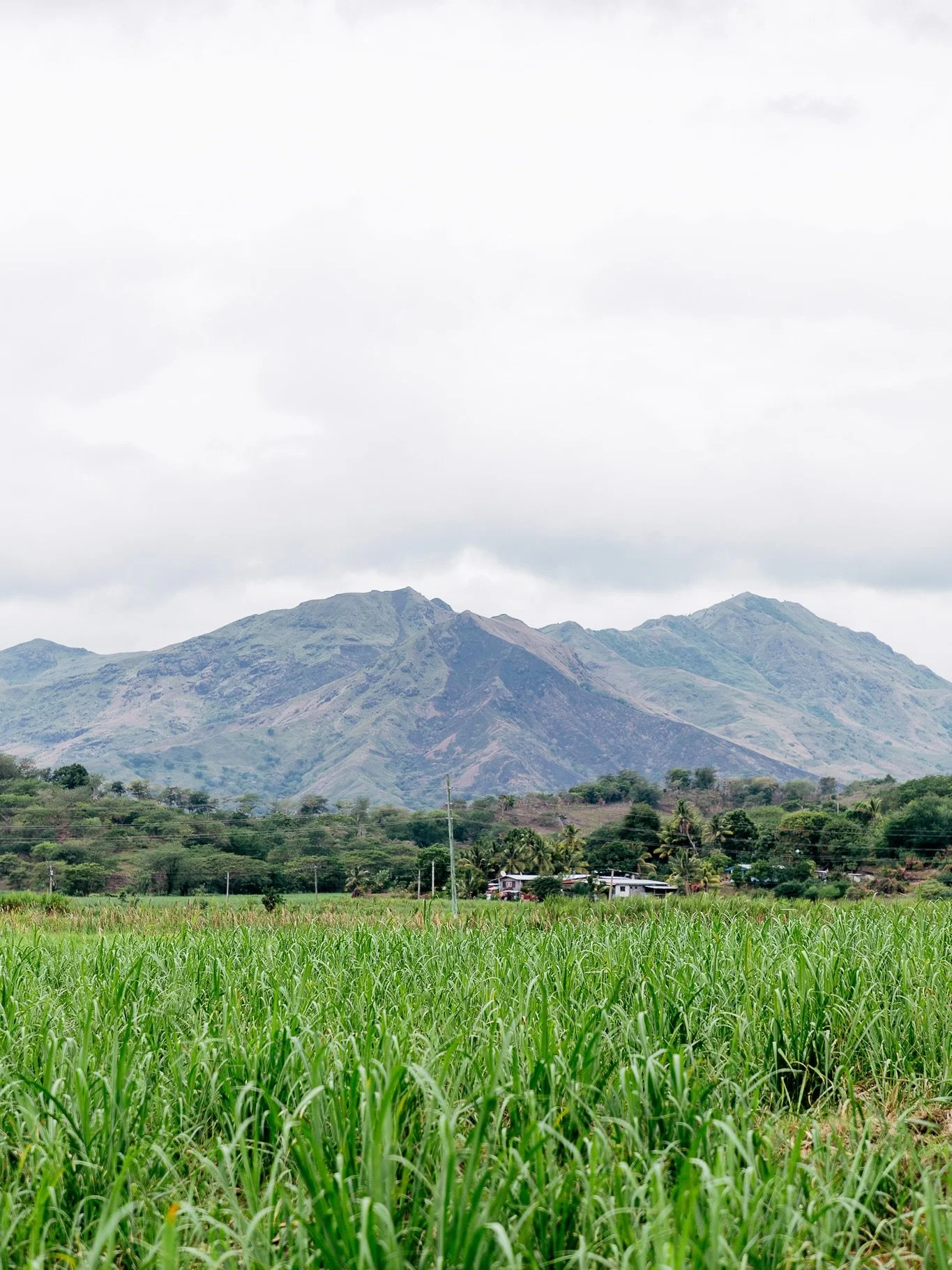 Moments I&rsquo;ve never shared from my last international trip (currently getting excited for the next one). Fiji was a dream, 
1. Sugarcane Farm
Almost every other photo: On a market veggie farm
4. A thank you gift from us