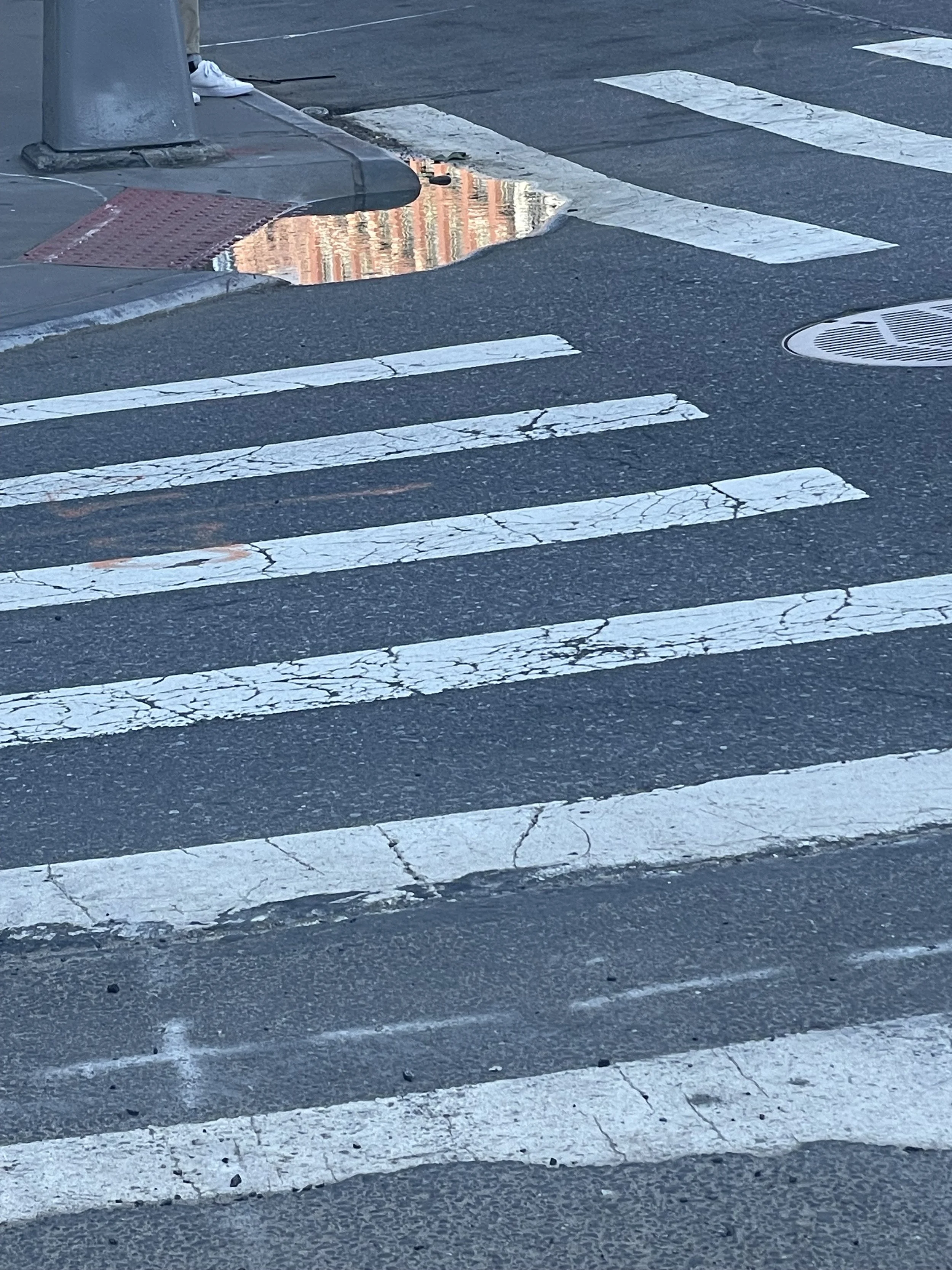 3B_IMG_5016_NYC_May 2024.jpeg