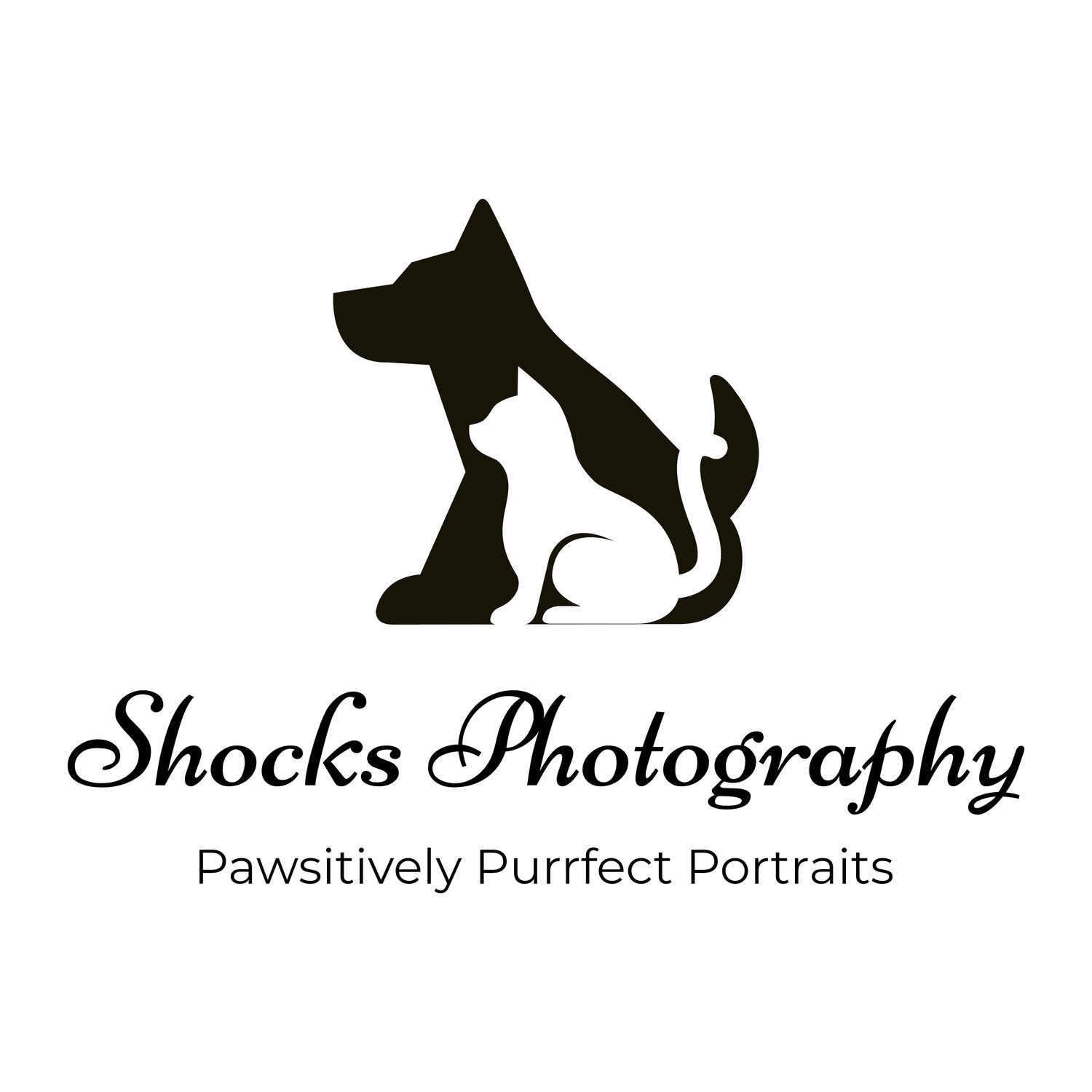 Shocks Photography