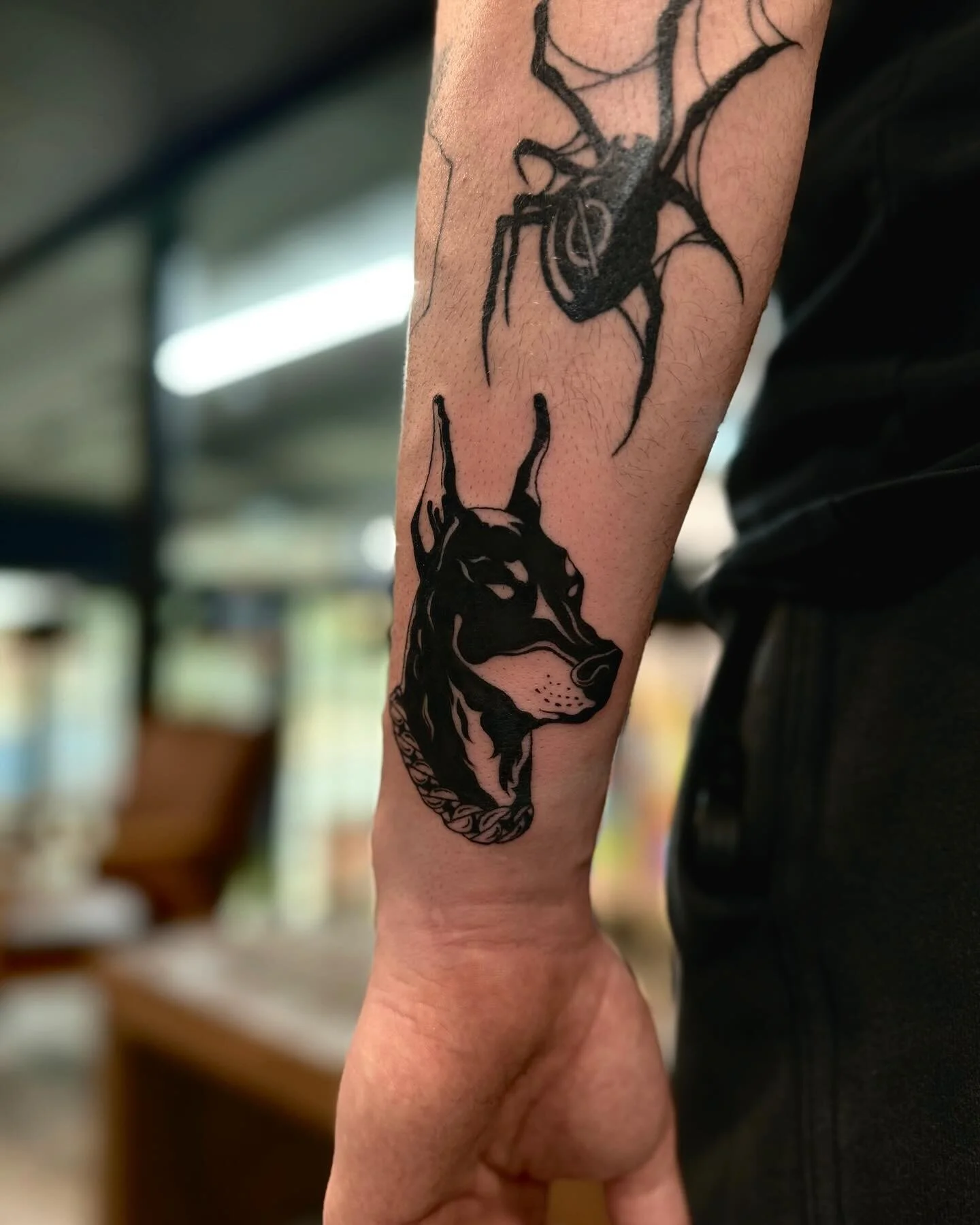 Really enjoying doing more bold black work for @f.crespoo 
Healed spider and fresh dog on the forearm. 

Books are open for March! 

#tattoo #dogtattoo #doberman #blackwork #boldtattoo #ttech