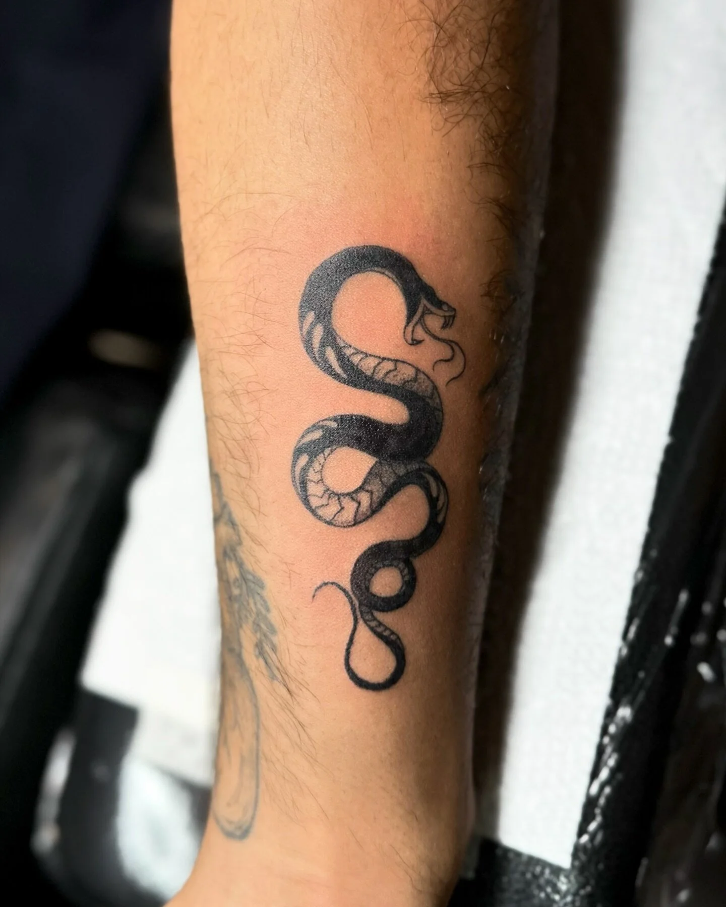 A snake for @enumik 🐍 Books are open for March and April! Come get a tattoo from me! ◡̈ 

Made @glitterpoopstudios 

#snake #snaketattoo #miami #miamitattoo #miamitattooartist