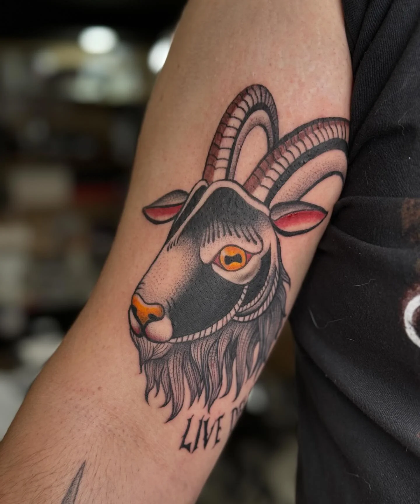 ✨Live Deliciously✨ 

Made for the G.O.A.T. @tristinbonachea @glitterpoopstudios 

#thewitch #goat #goattattoo #traditionaltattoo #neotraditional #neotrad #trad #tattoo #miamitattoo #femaletattooartist #besttattooartist #besttattooartistmiami #miami