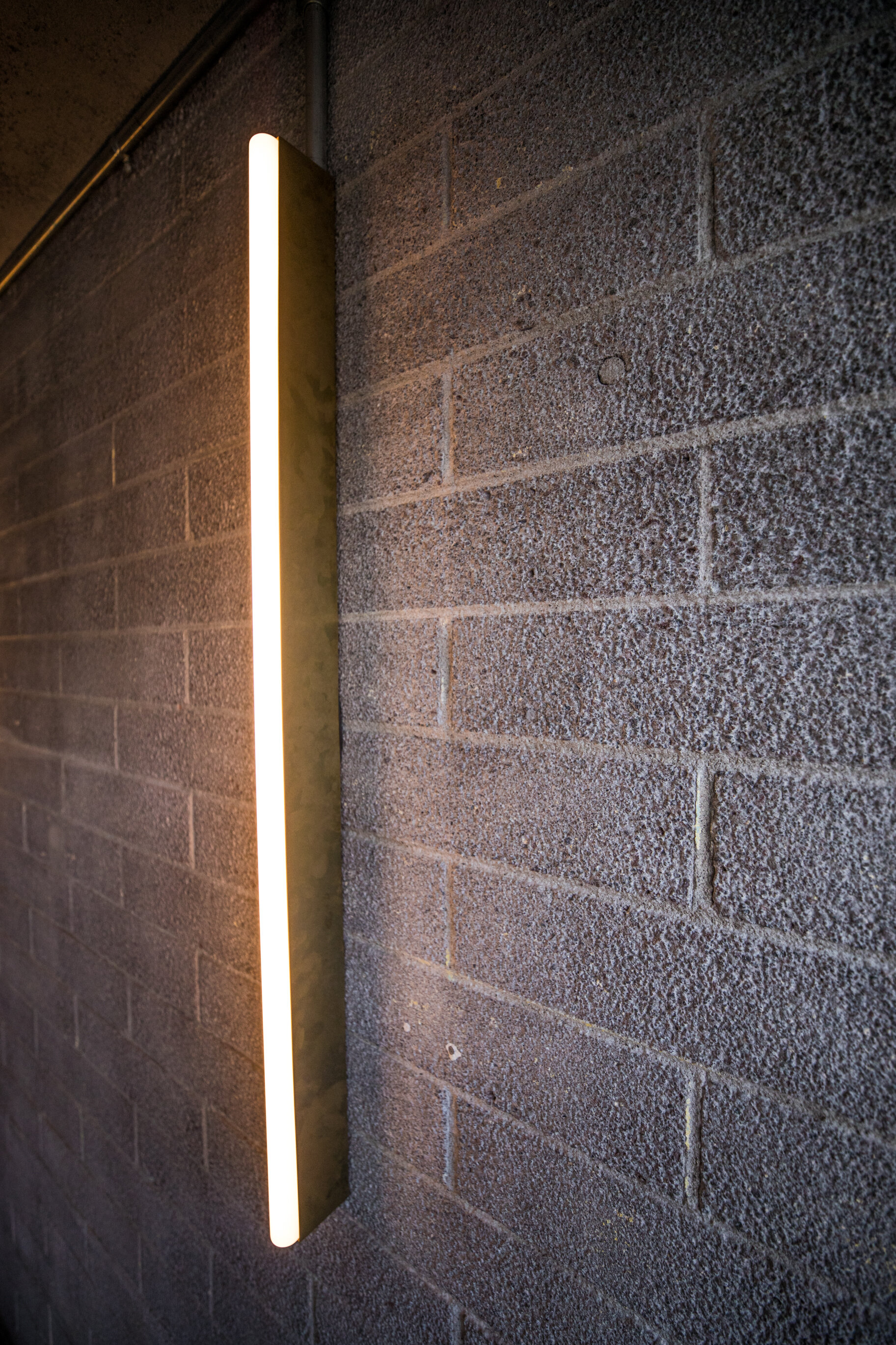 TBG_LASH (40 of 51).jpg