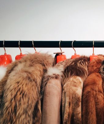 The Ethical Fashion Animal Rights Debate