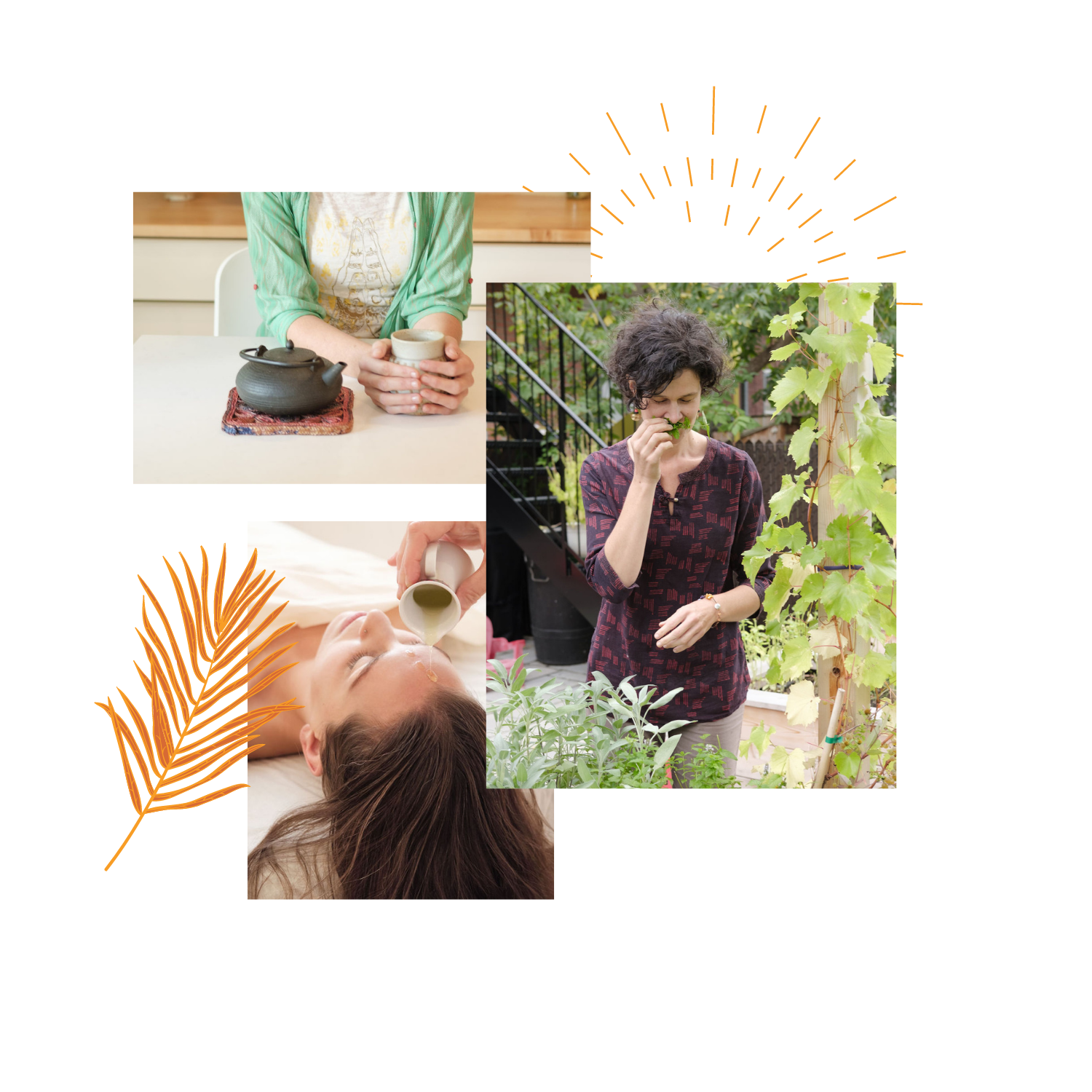 Consultation ayurvédique — Ayurveda consultation ayurvédique en ligne et à Magog Massage