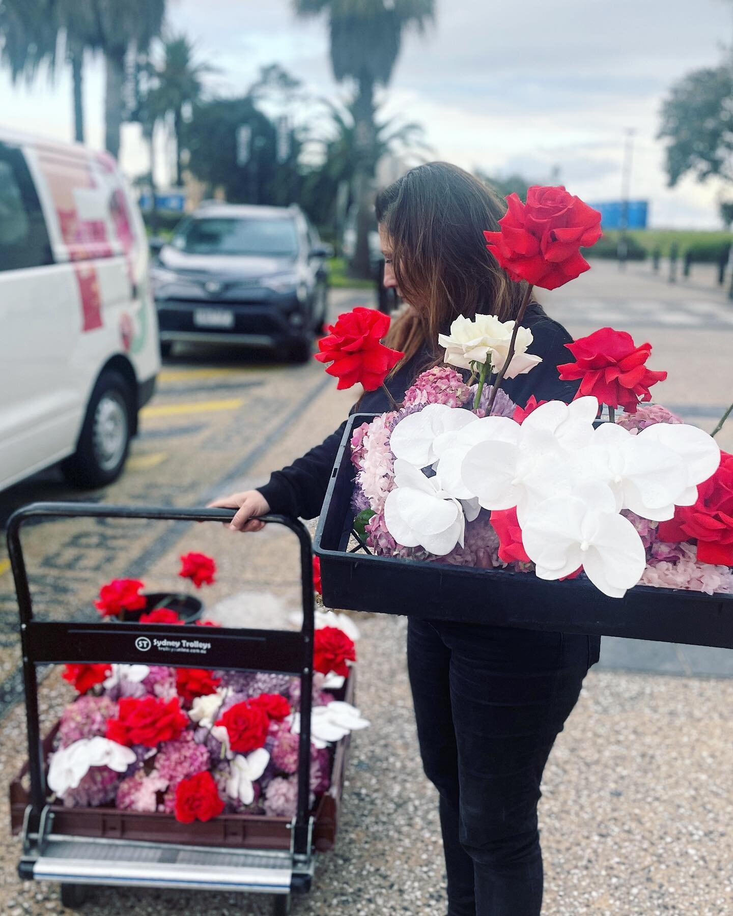 Friday things. 
(Trolley wrangling and rain dodging)

#eventdays #boldpops #corporateflowers #hydie #orchids #goodstuffs #flowerjarmelbourne