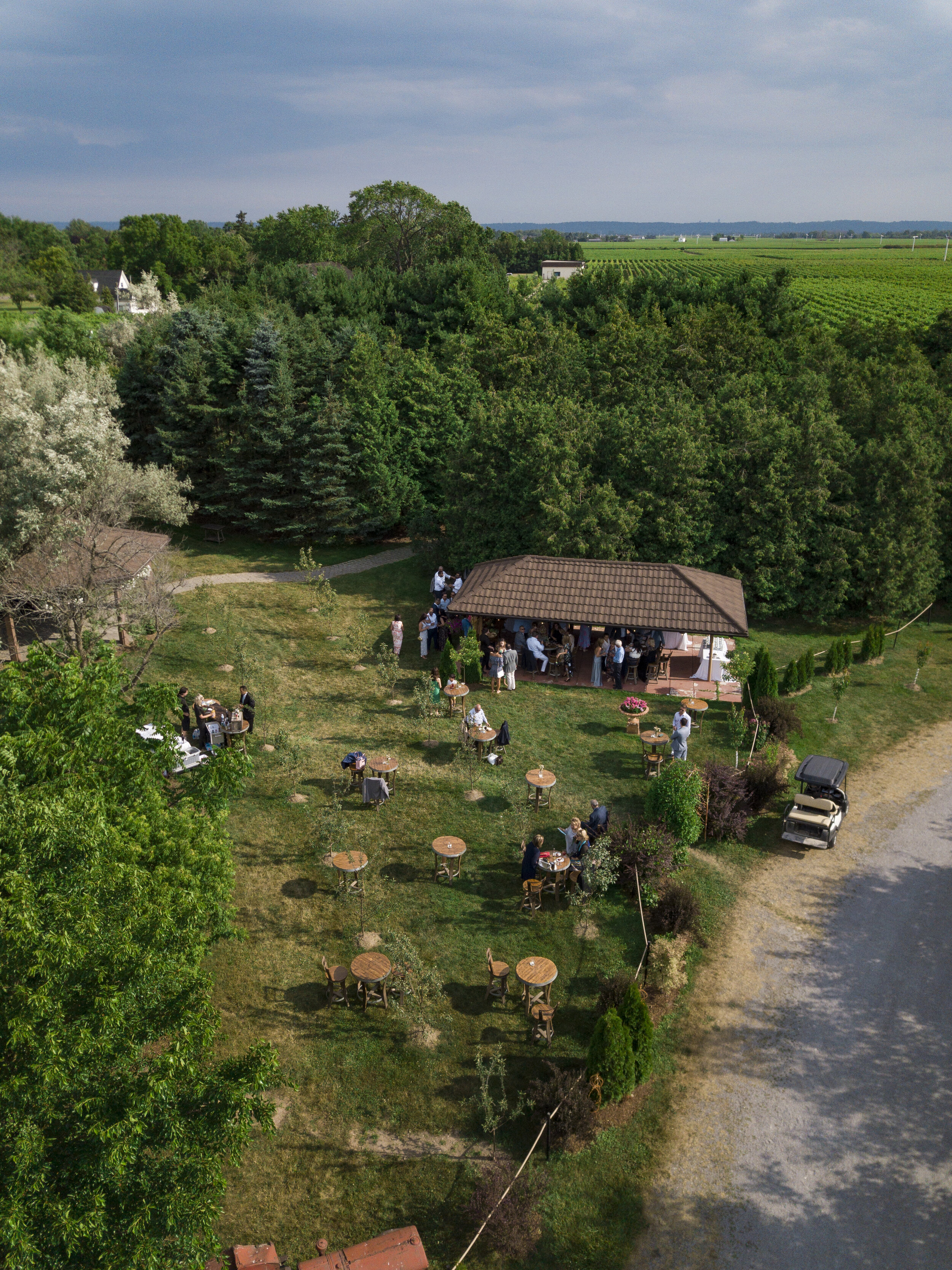 DJI_0385.jpg