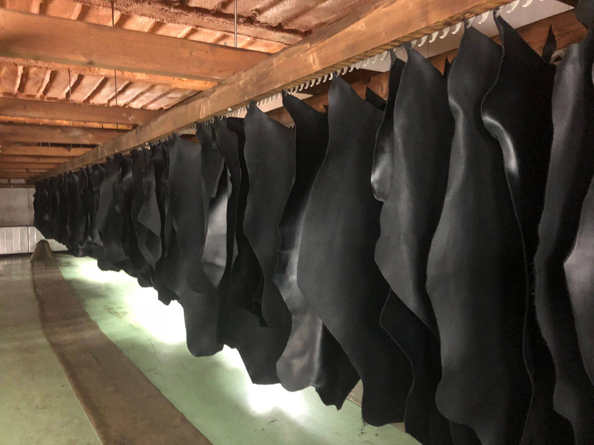 Leather in drying room.jpg