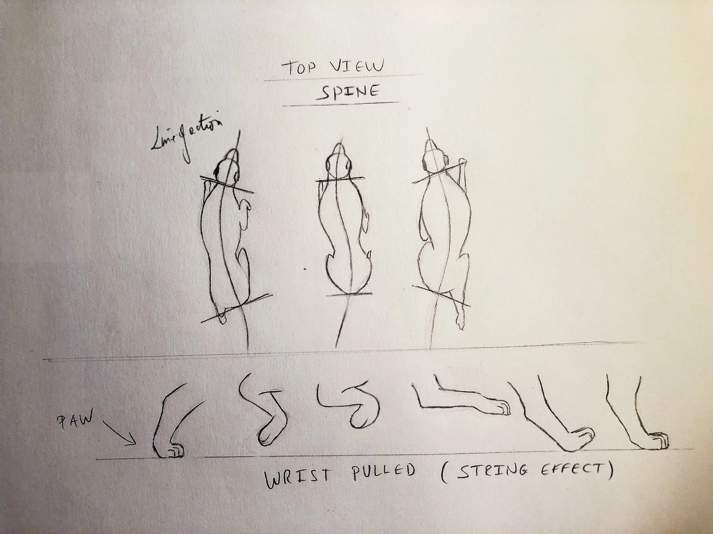 Quadruped Walk Plan 2