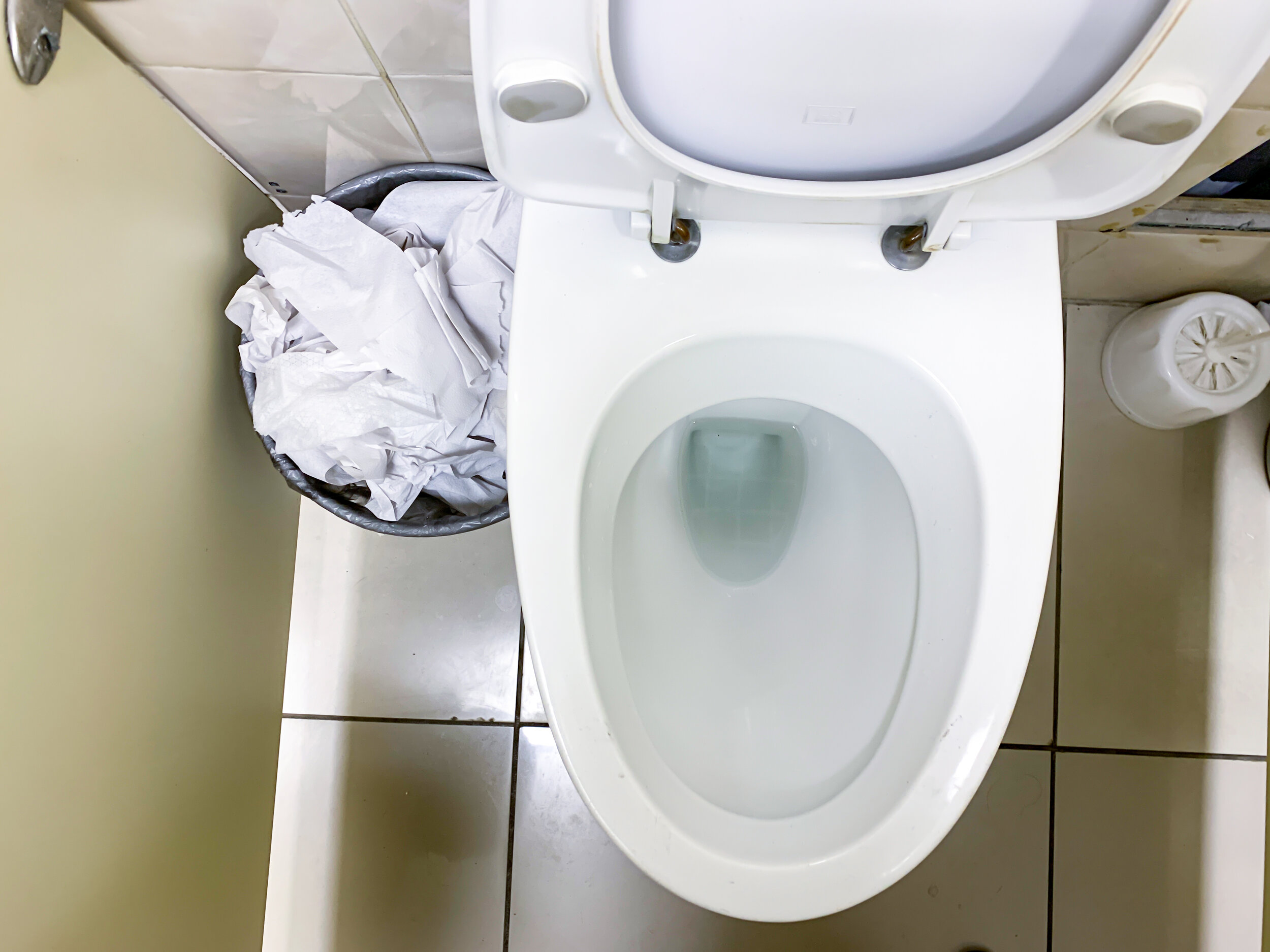 Guide to Unclogging a Blocked Toilet Trap