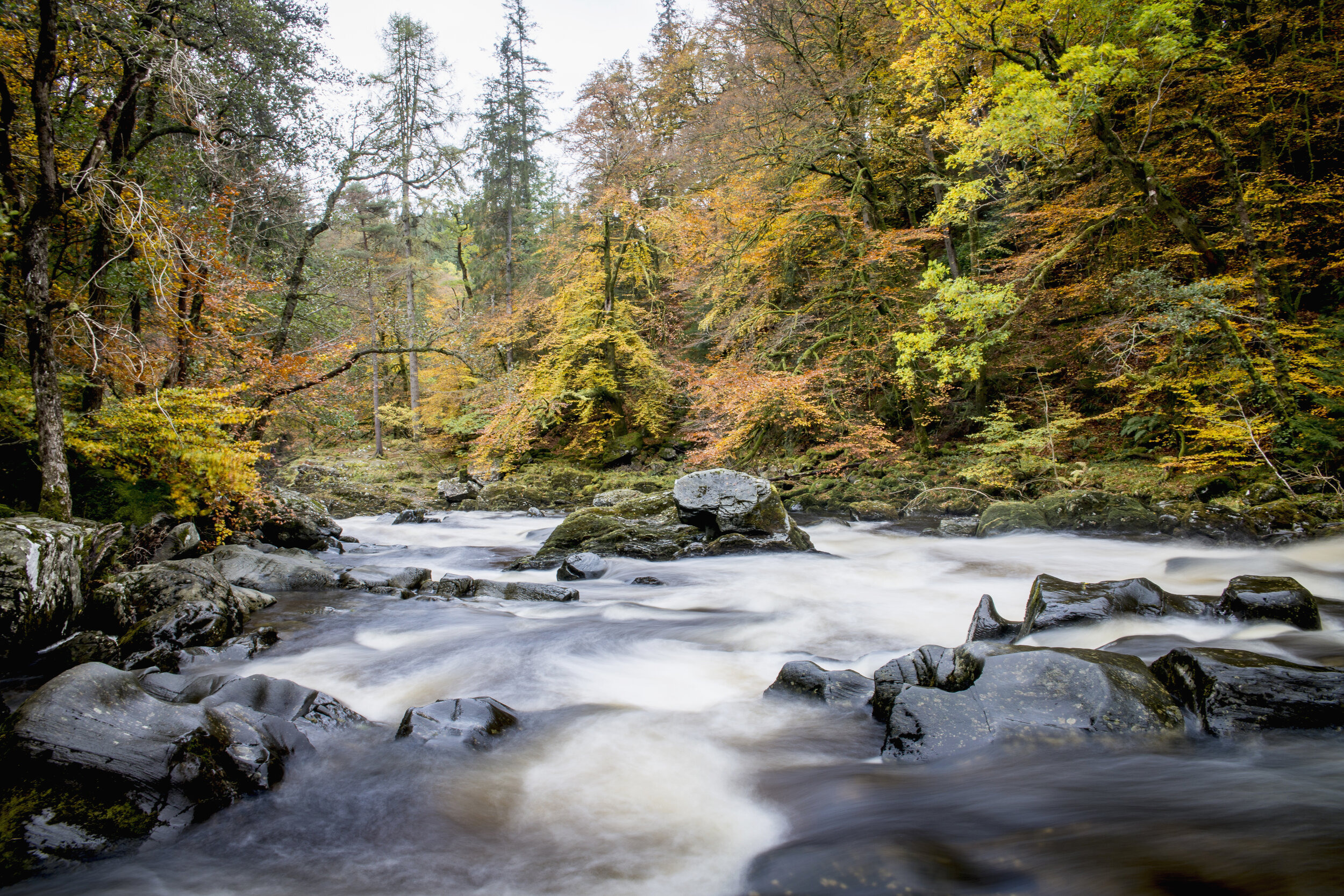 The Hermitage, Dunkeld