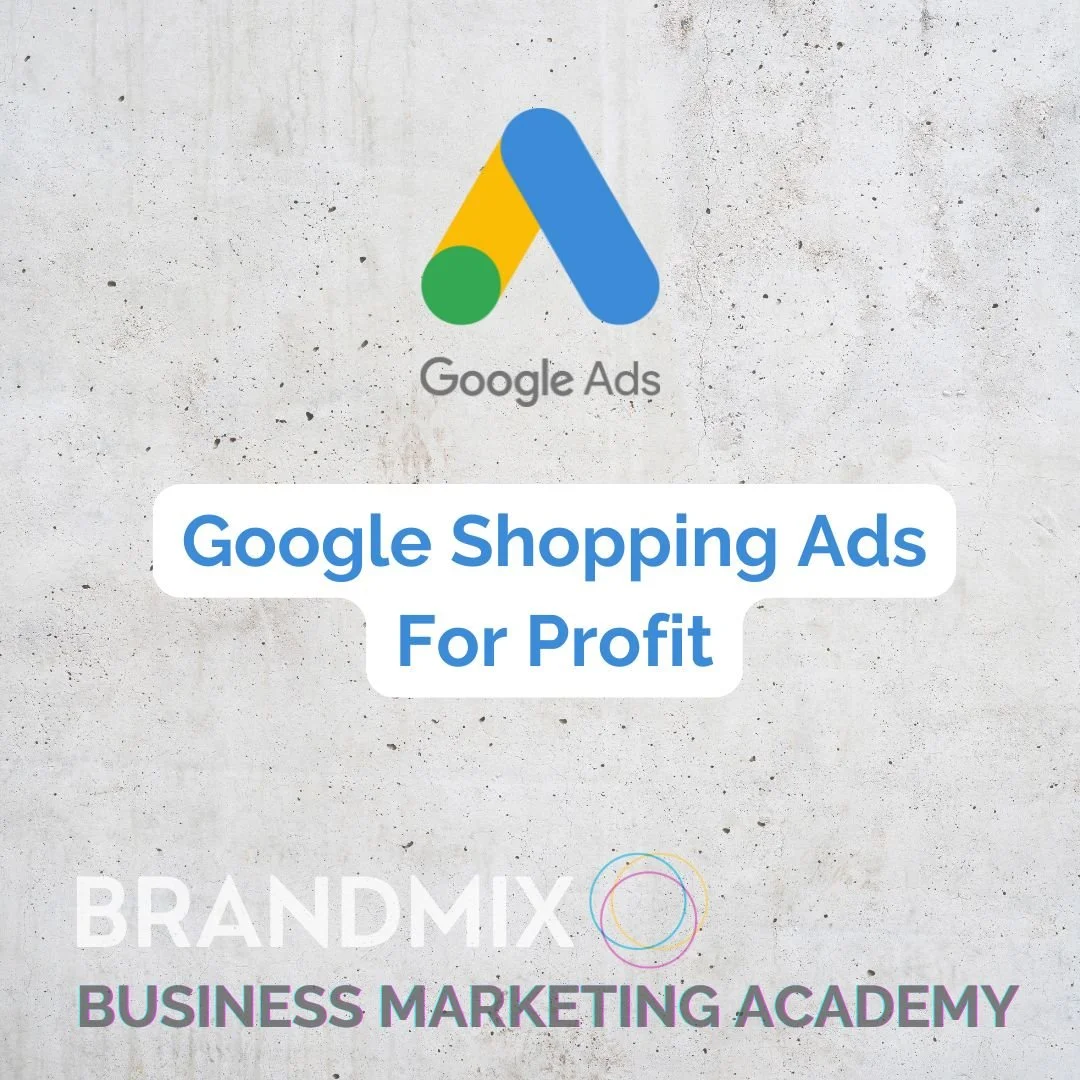 Why One-Size-Fits-All Doesn’t Work: A Strategic Guide to Google Shopping Campaigns for Profit-Driven Brands