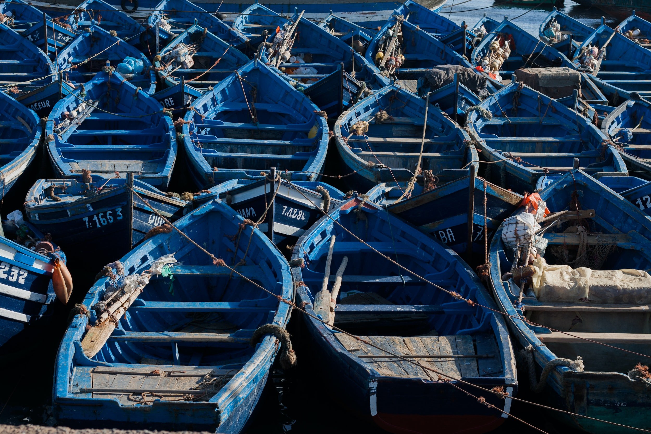 unsplash-image-3oSPtZ2TE_o.jpg