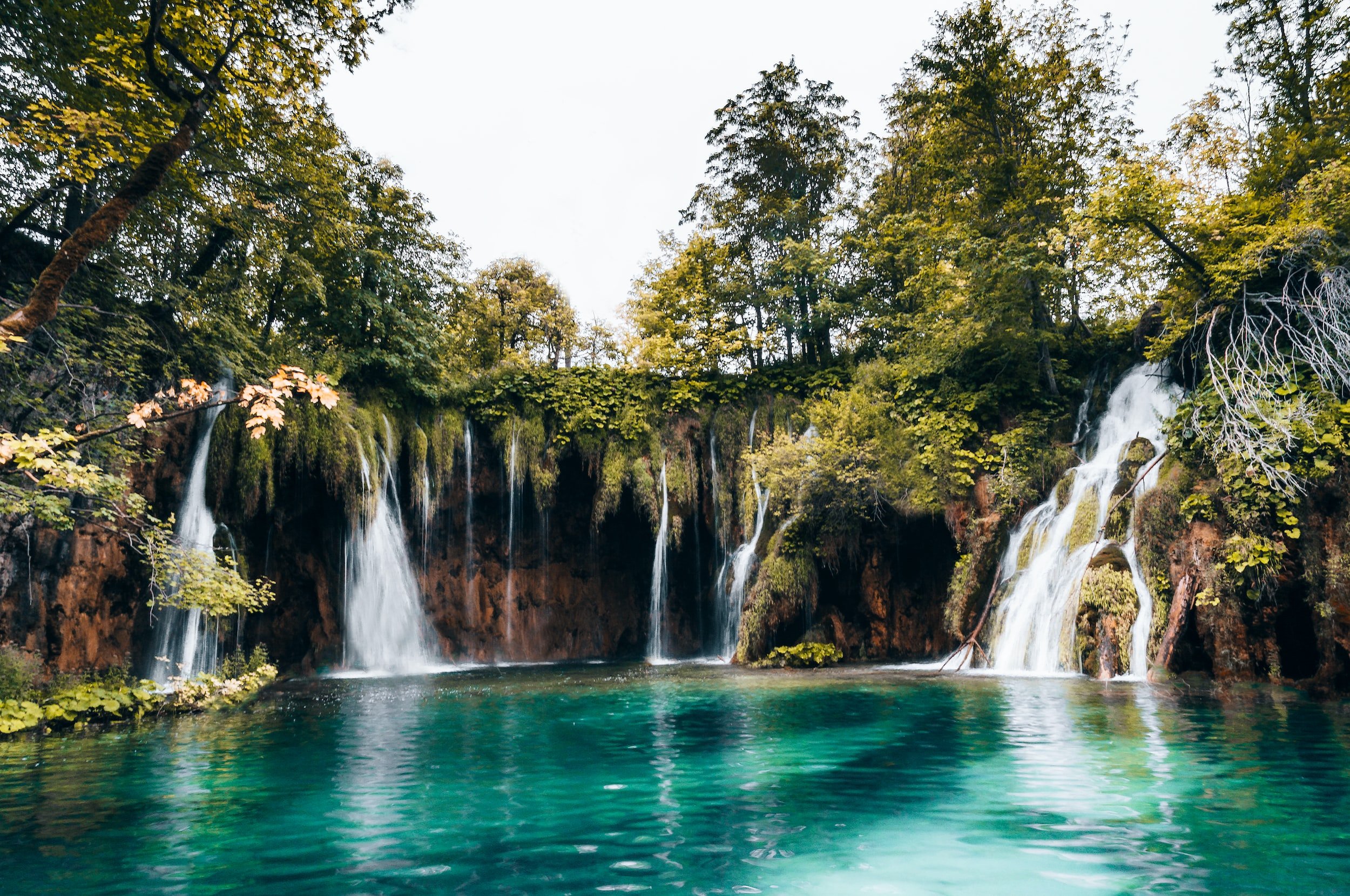 unsplash-image--_SNTSkKBJU.jpg