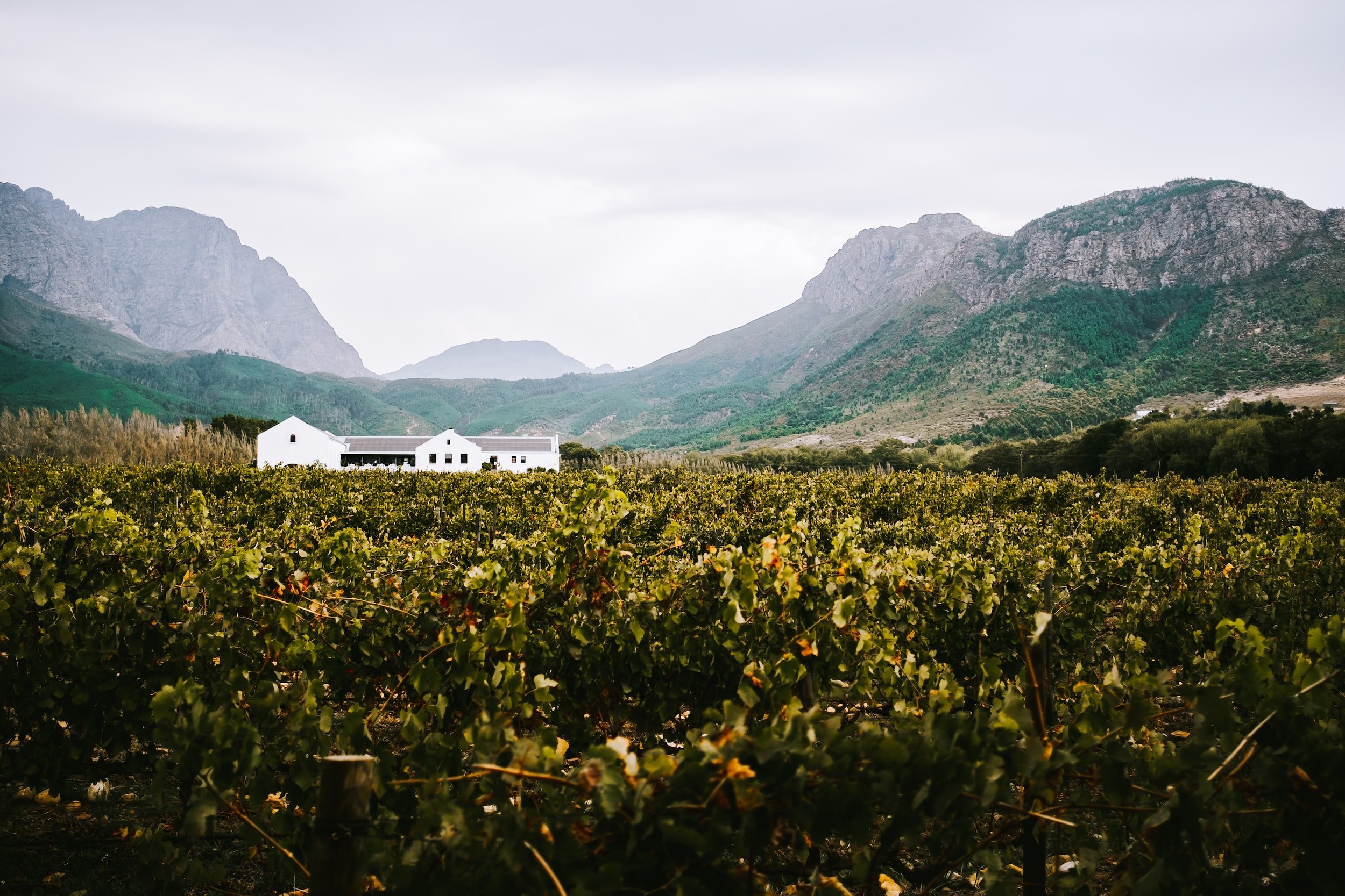unsplash-image-AJjaMQeLUak.jpg