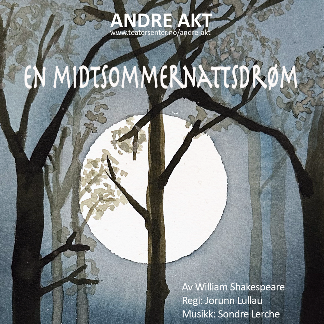 EN MIDTSOMMERNATTSDRØM